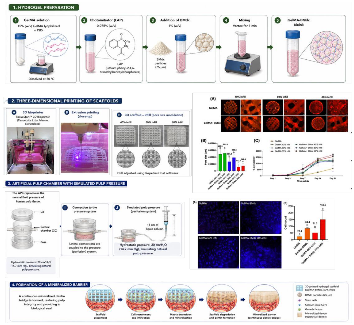 Preprints 230120 g007 Preprints 230120 g007