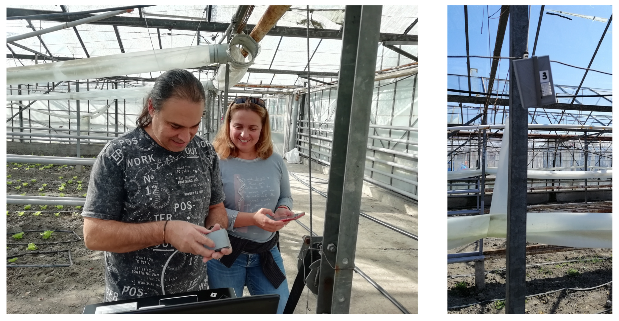 Preprints 198801 g002