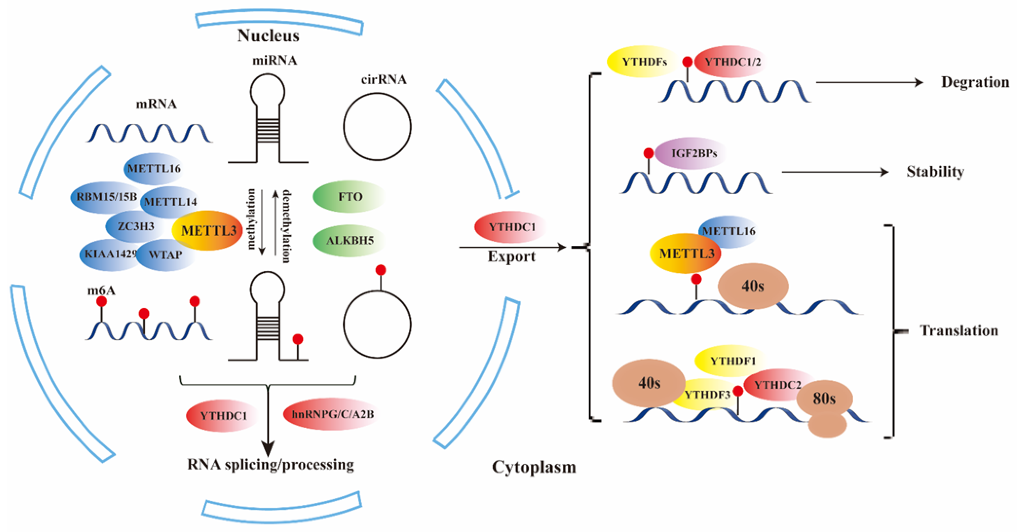 Preprints 141671 g001