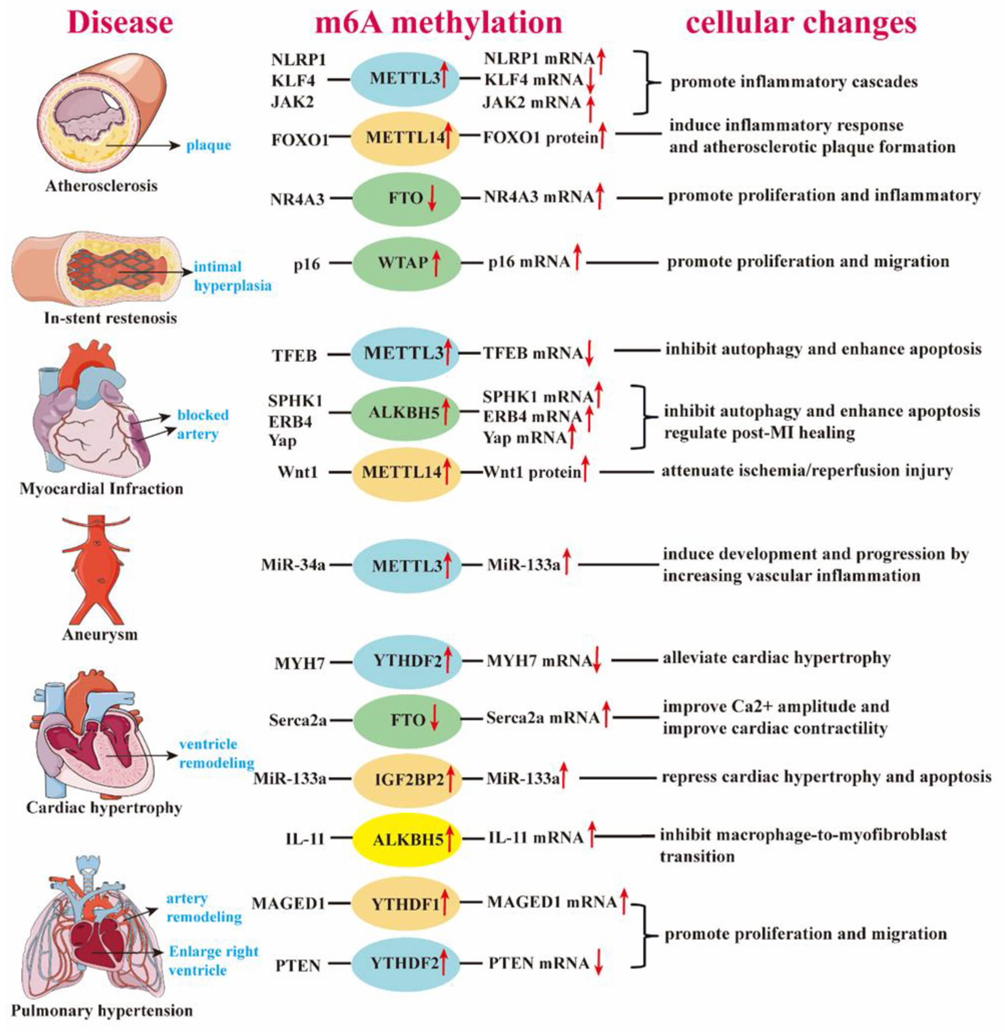 Preprints 141671 g002