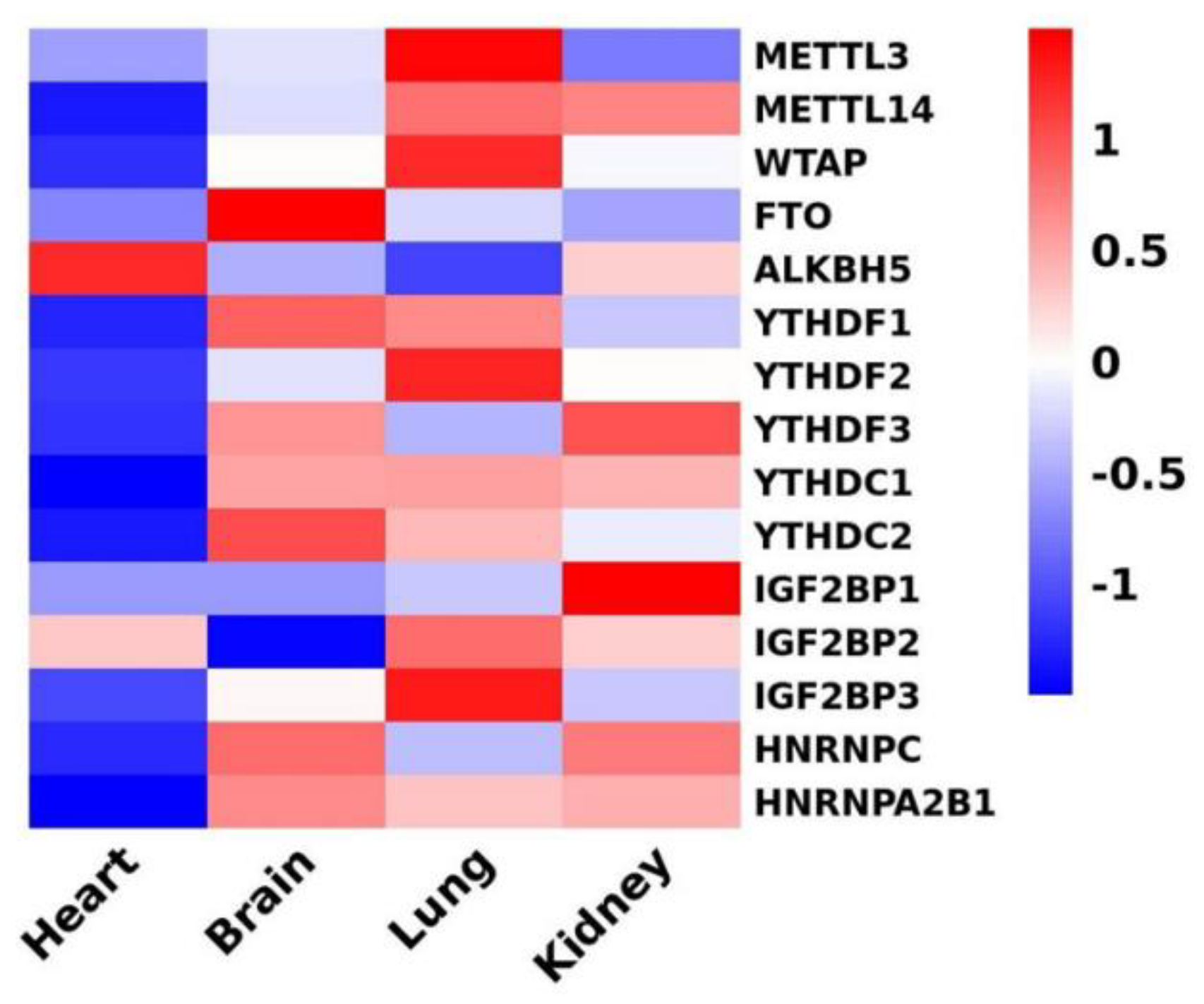 Preprints 141671 g003