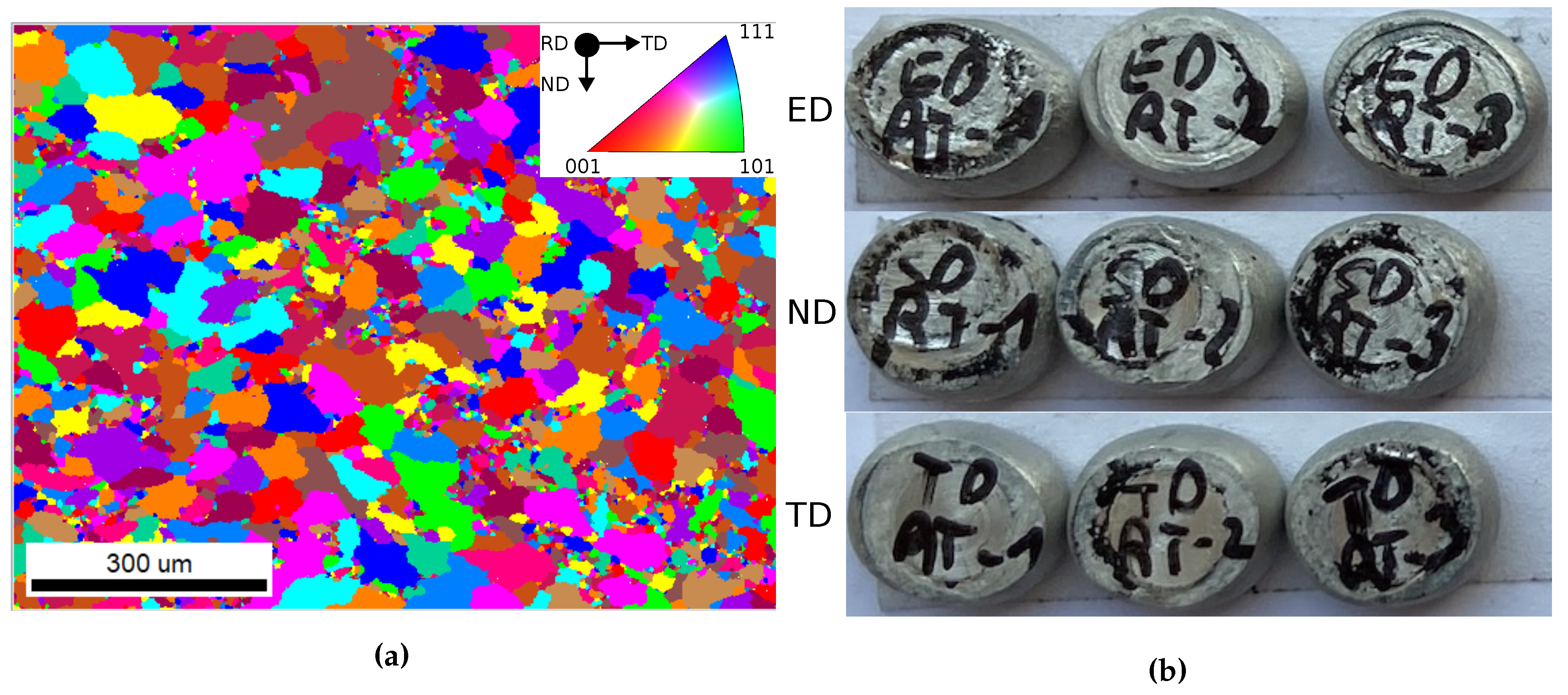 Preprints 107394 g002