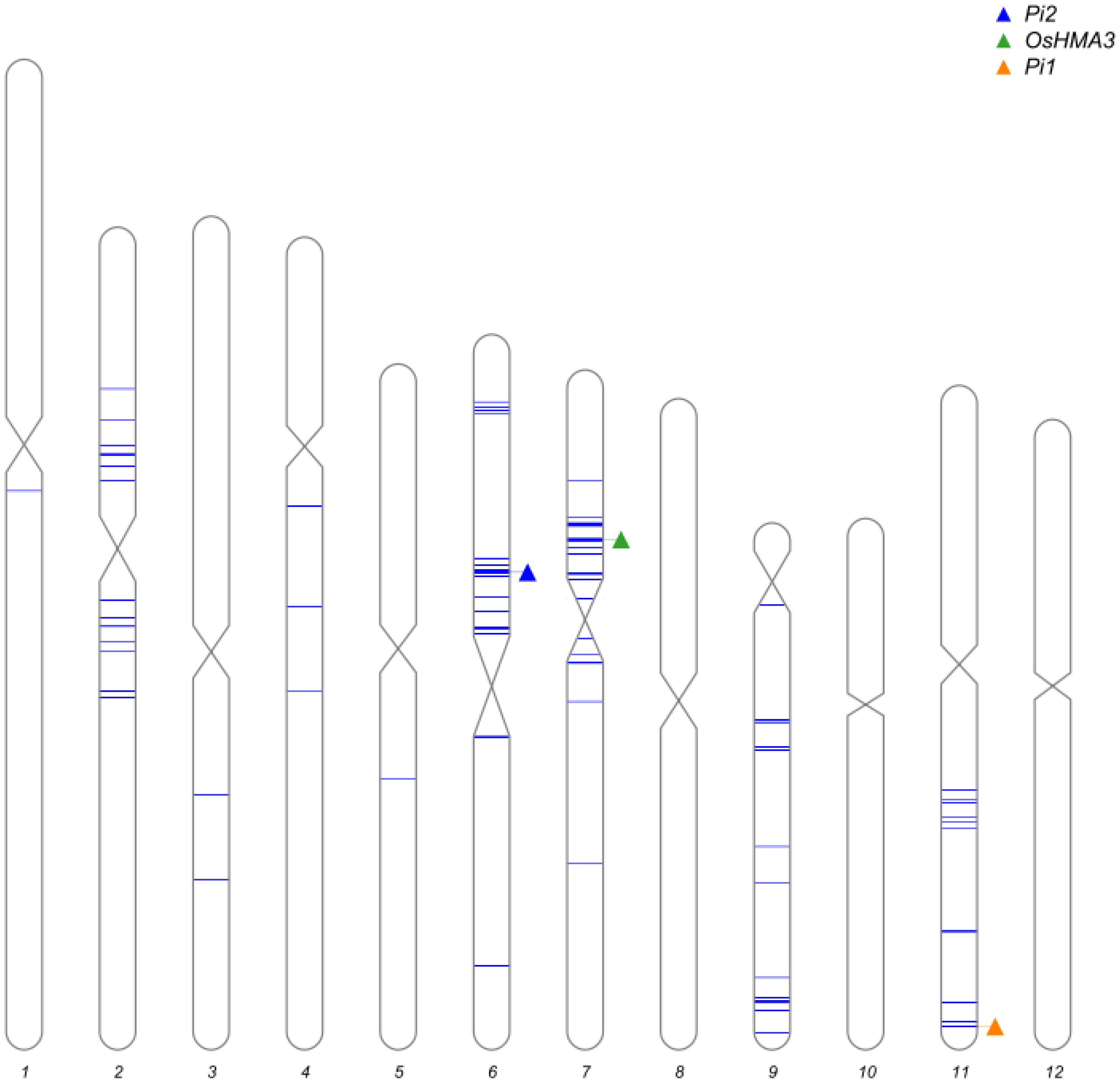 Preprints 153094 g002
