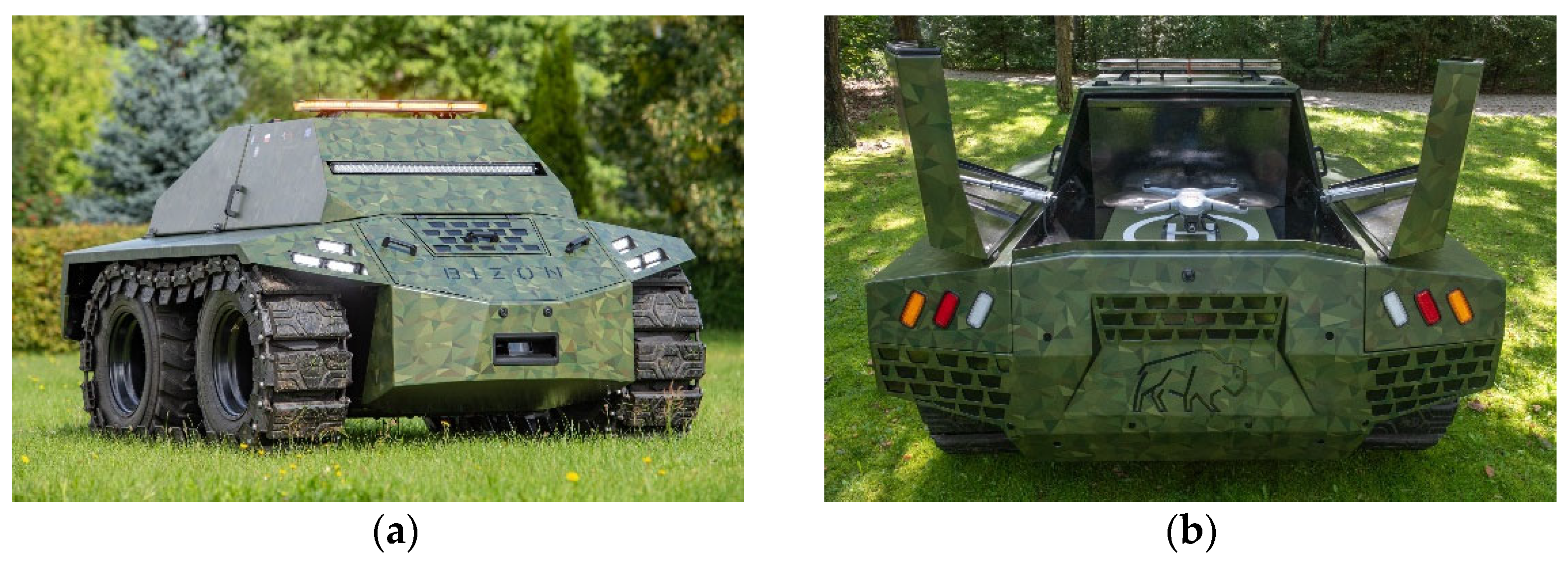 Preprints 98582 g001