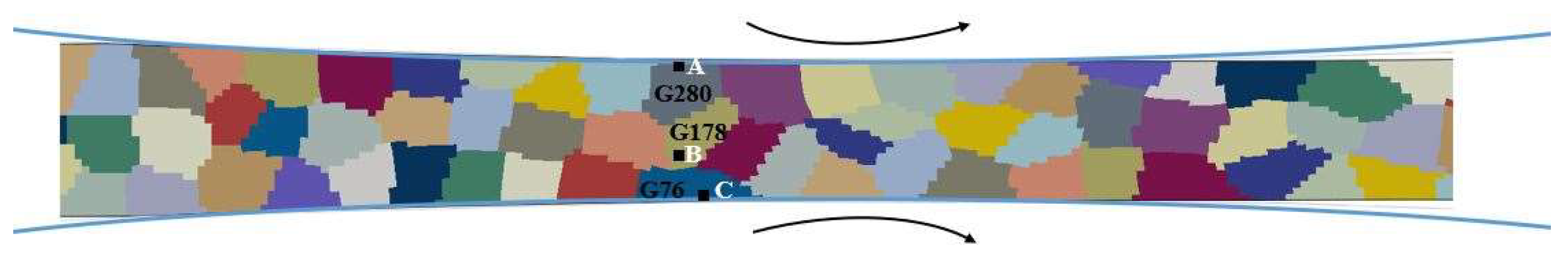 Preprints 146655 g010