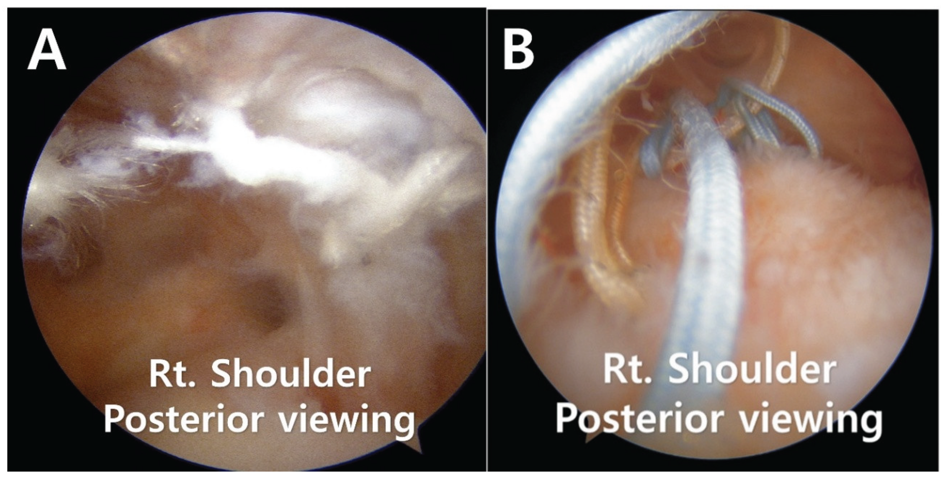 Preprints 198406 g001