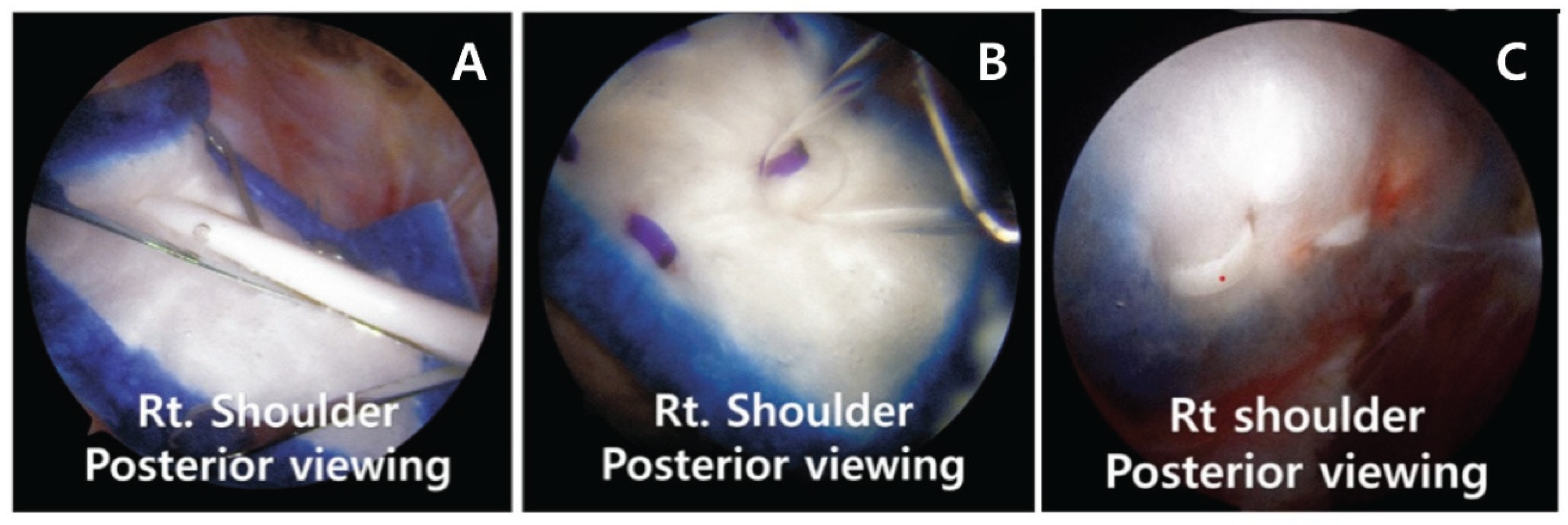 Preprints 198406 g002