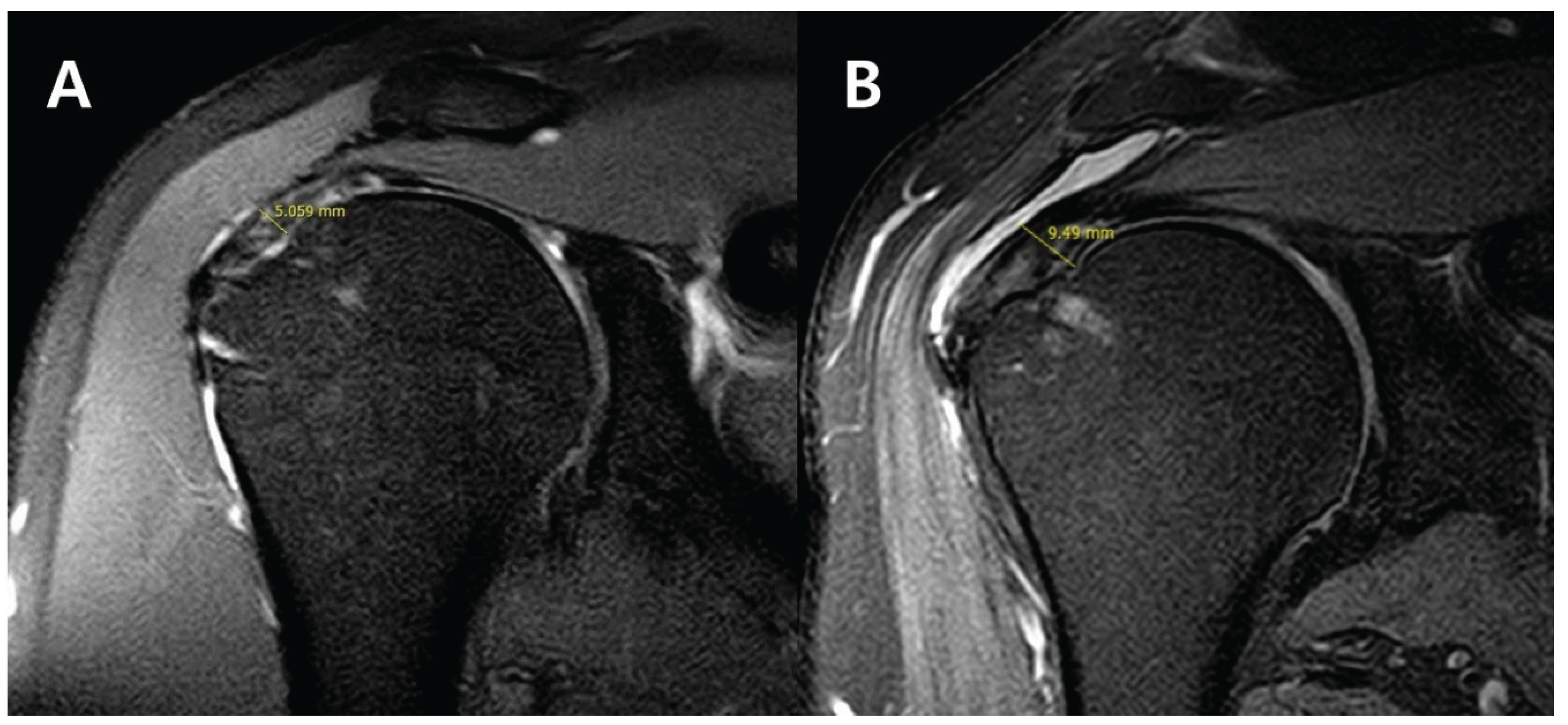 Preprints 198406 g003