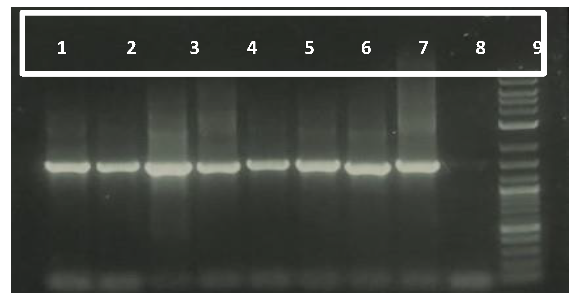 Preprints 145909 g001