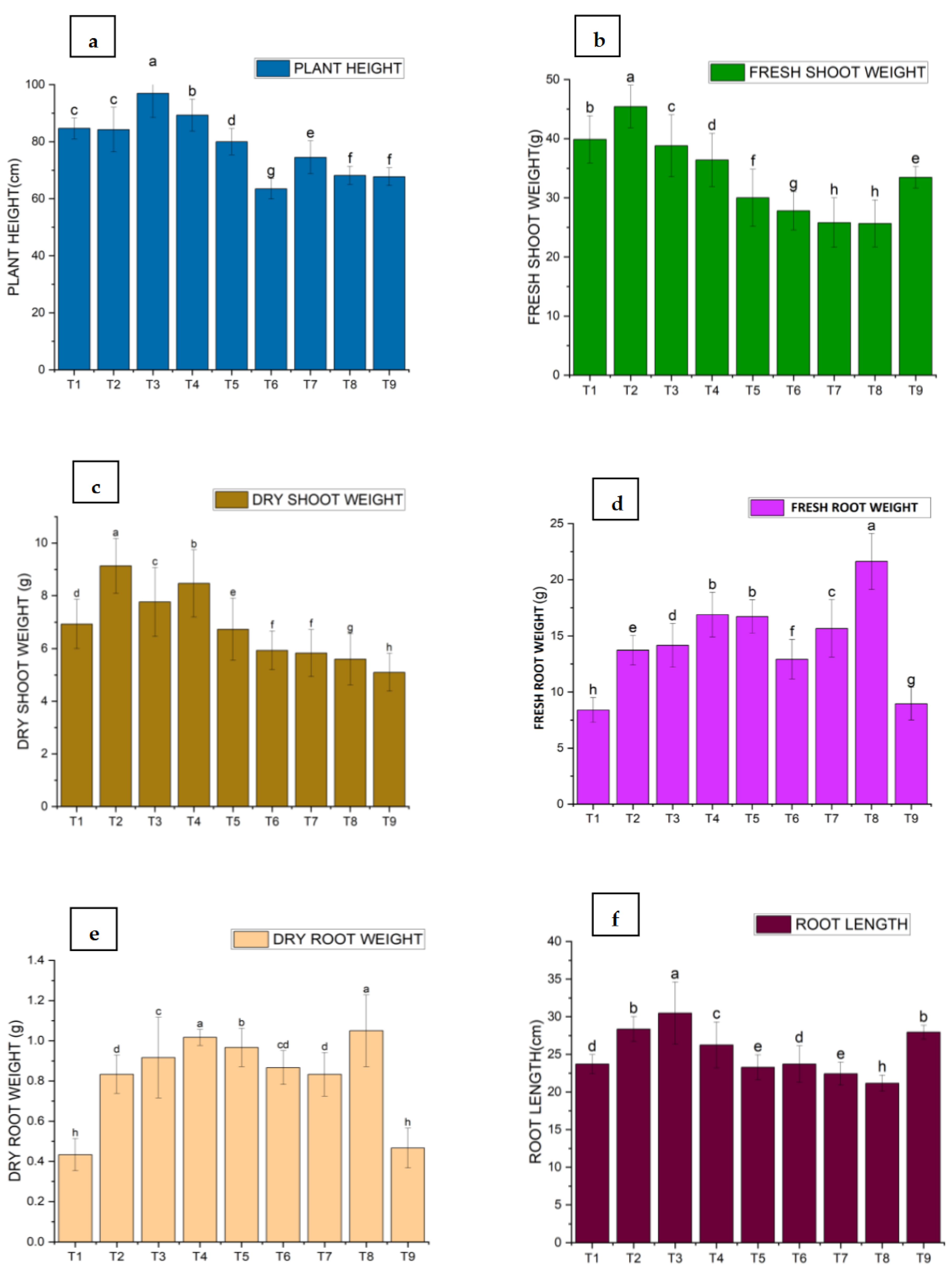 Preprints 145909 g002