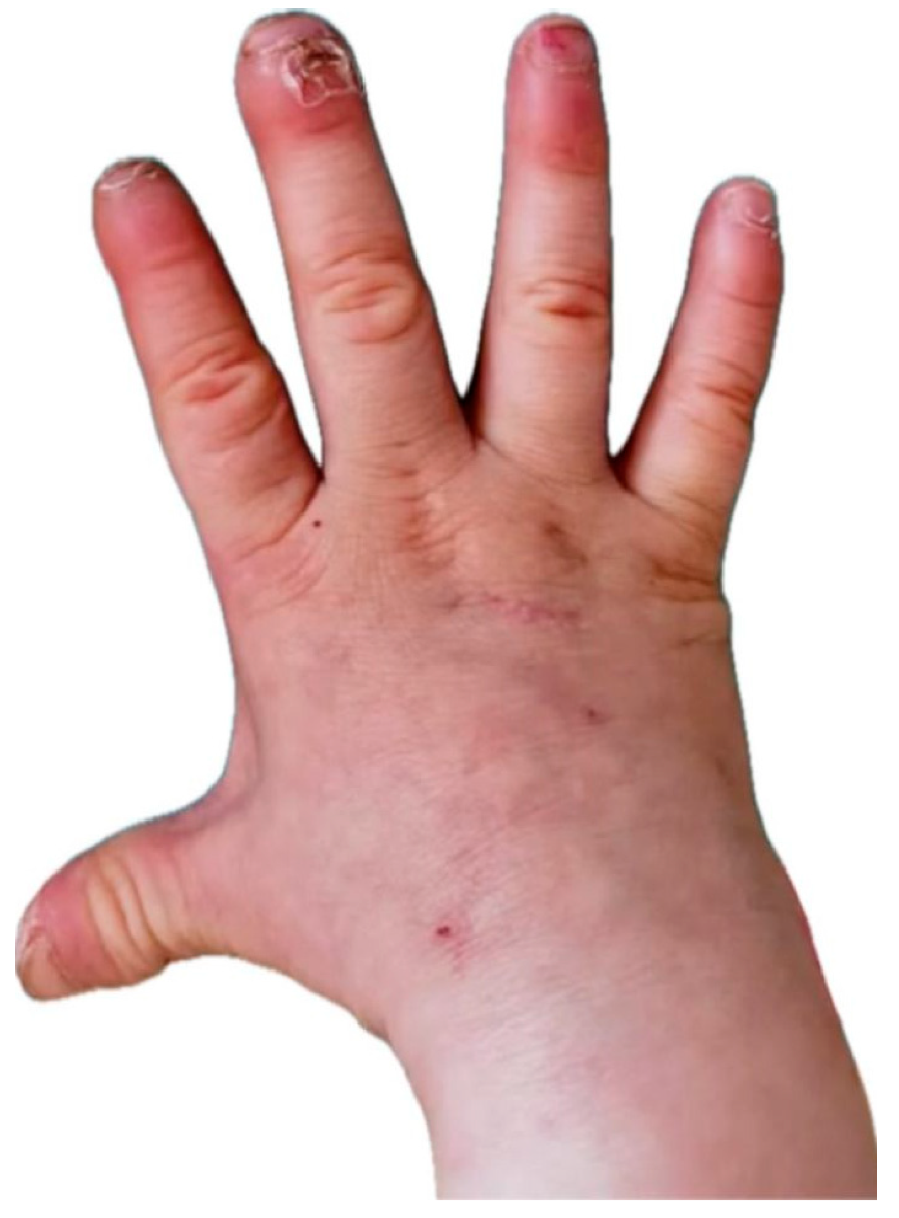 Preprints 121447 g001