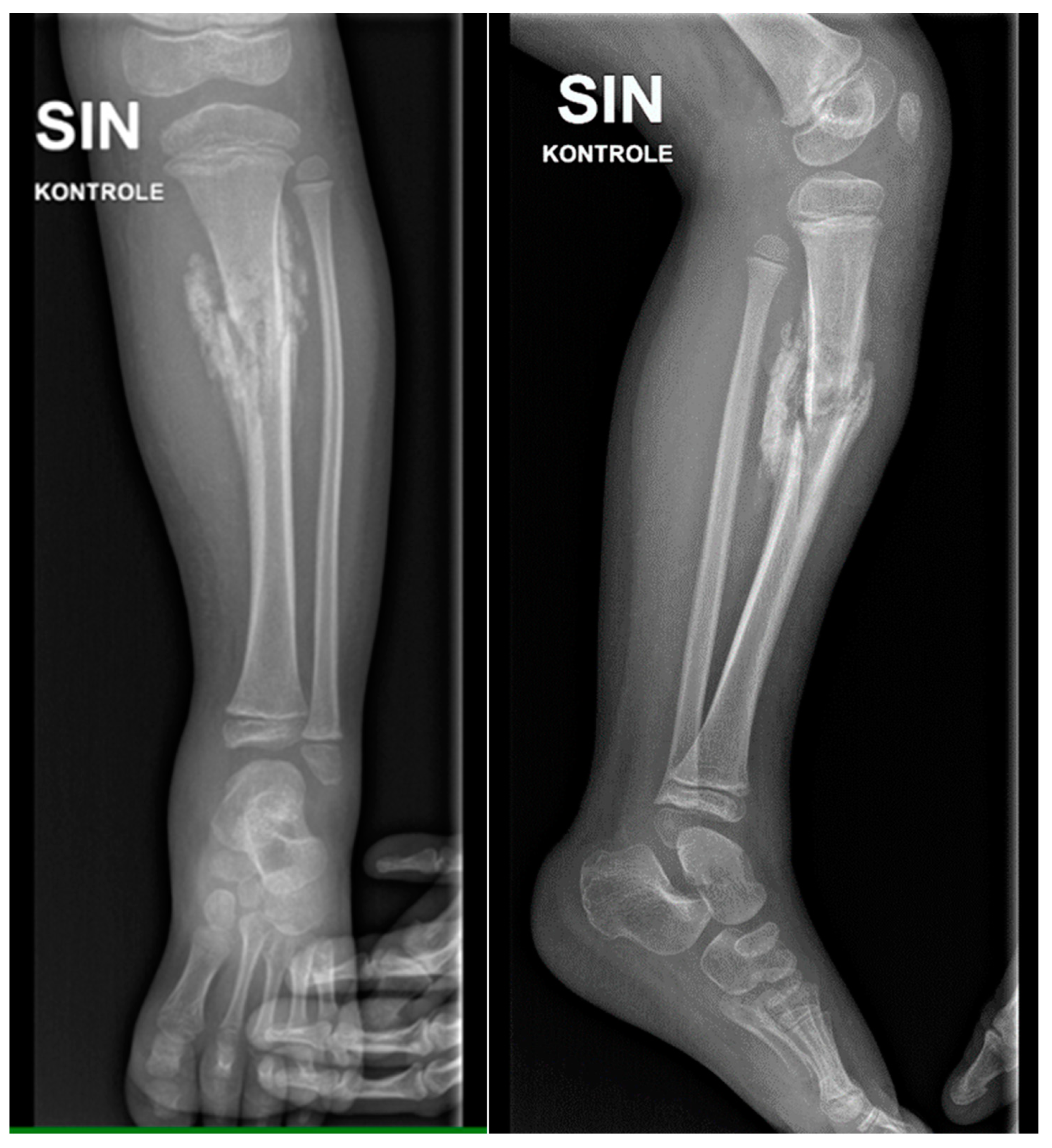 Preprints 121447 g002
