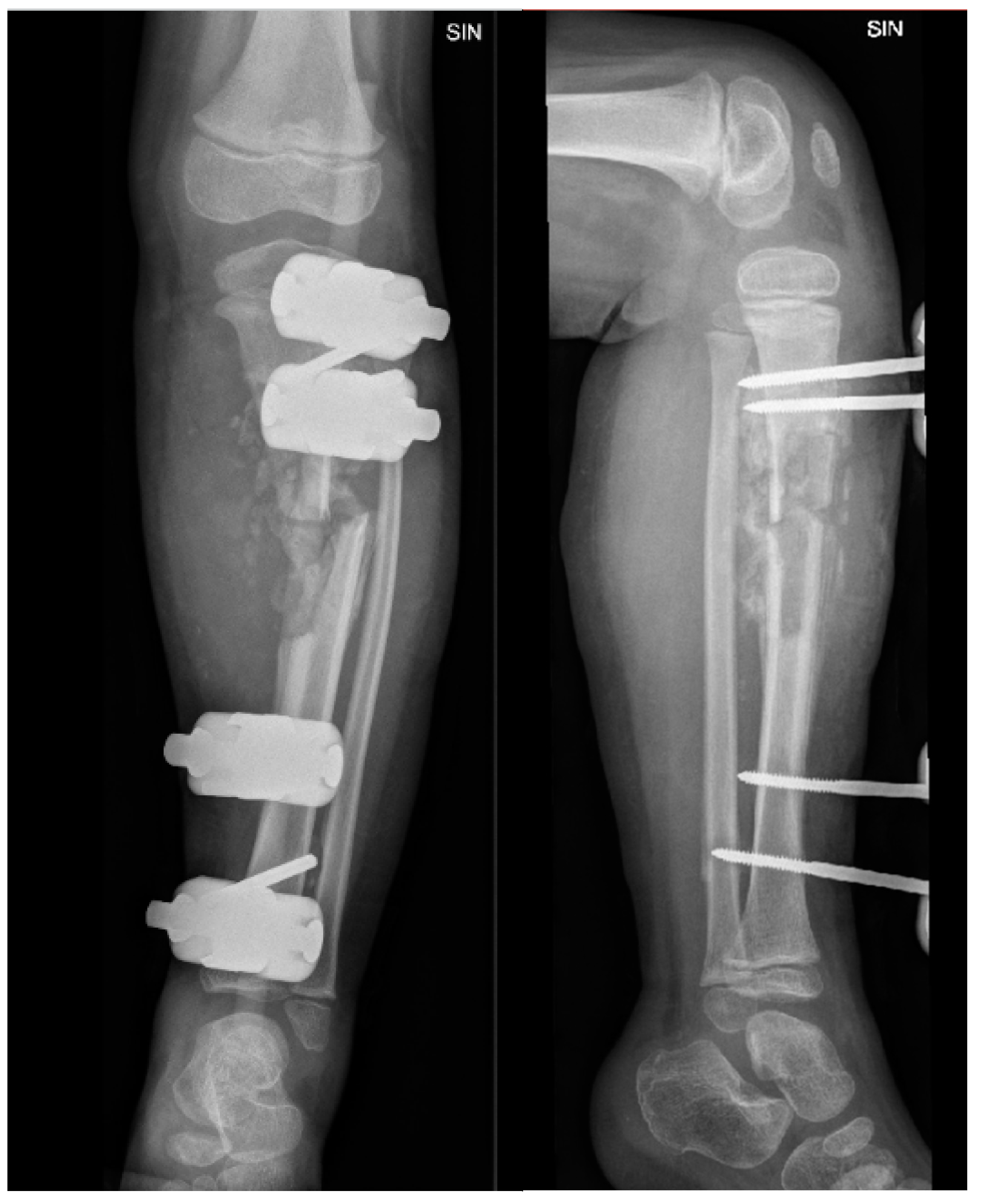 Preprints 121447 g003