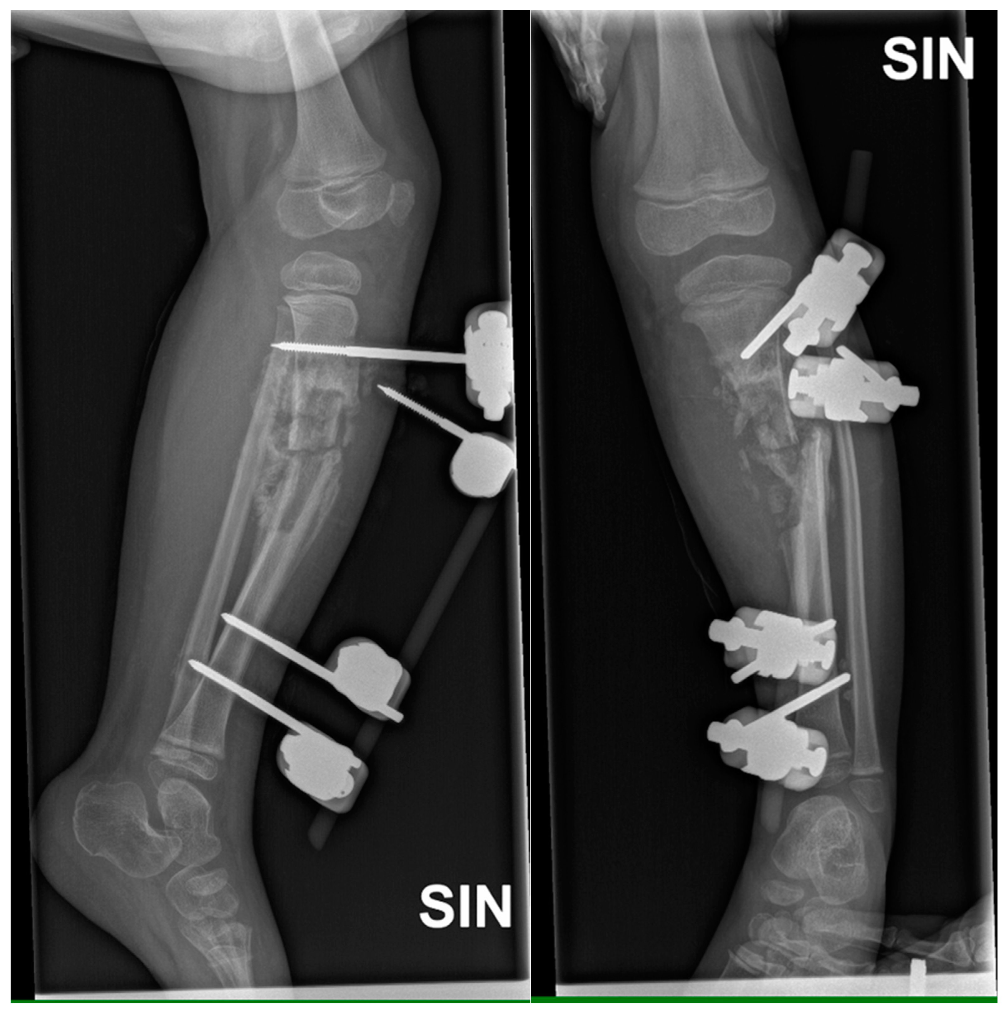 Preprints 121447 g005