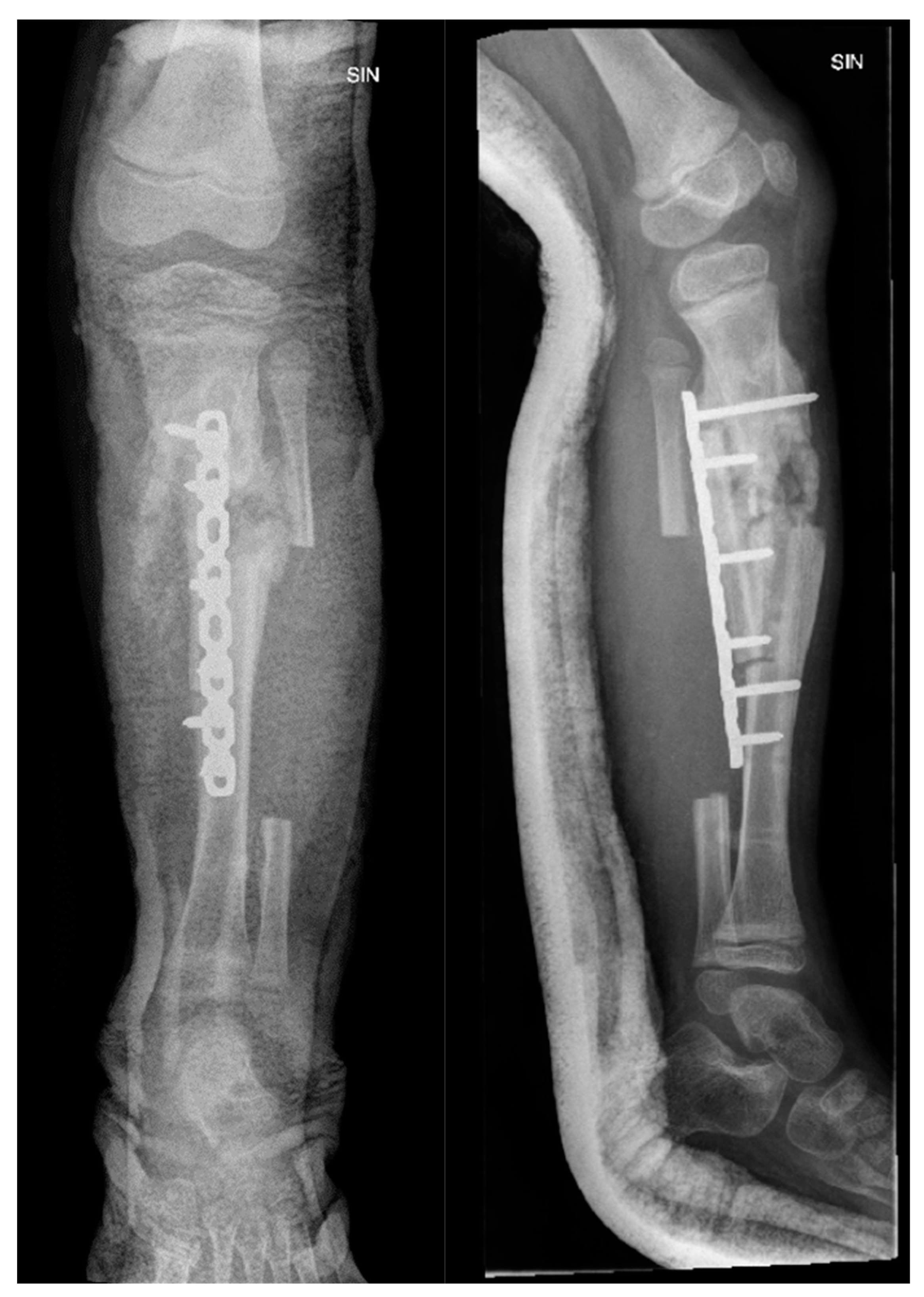 Preprints 121447 g006