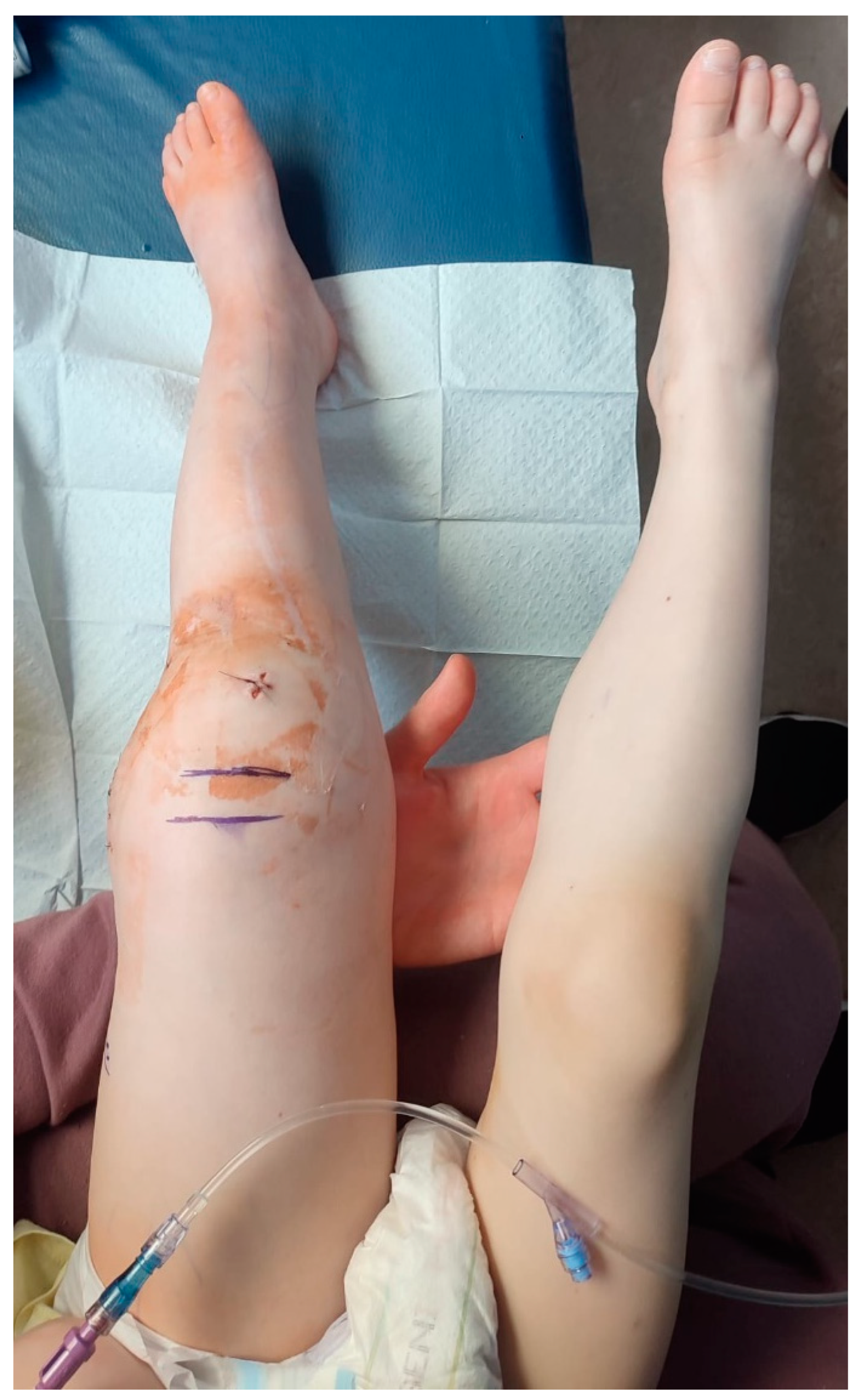 Preprints 121447 g007