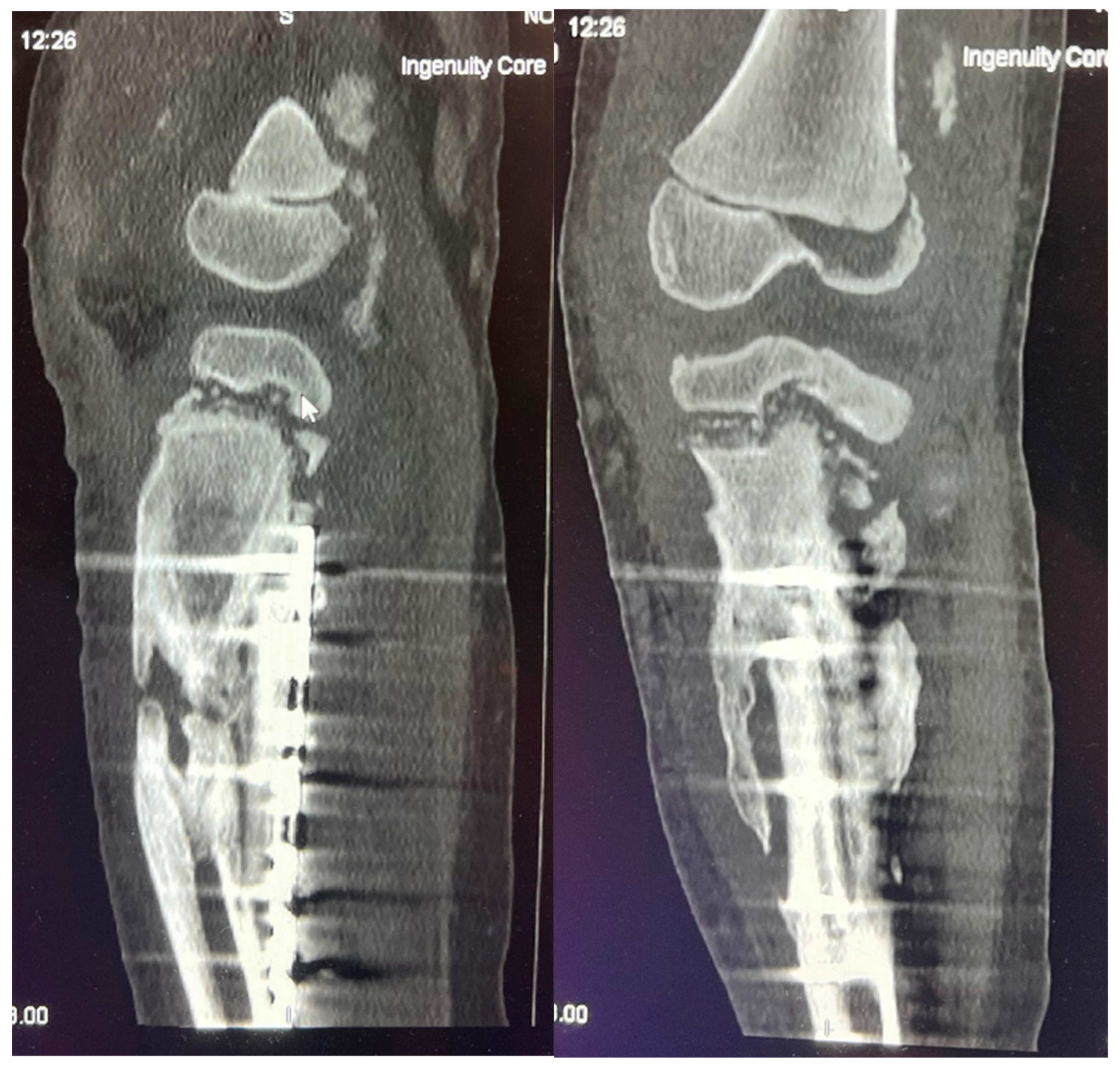 Preprints 121447 g009