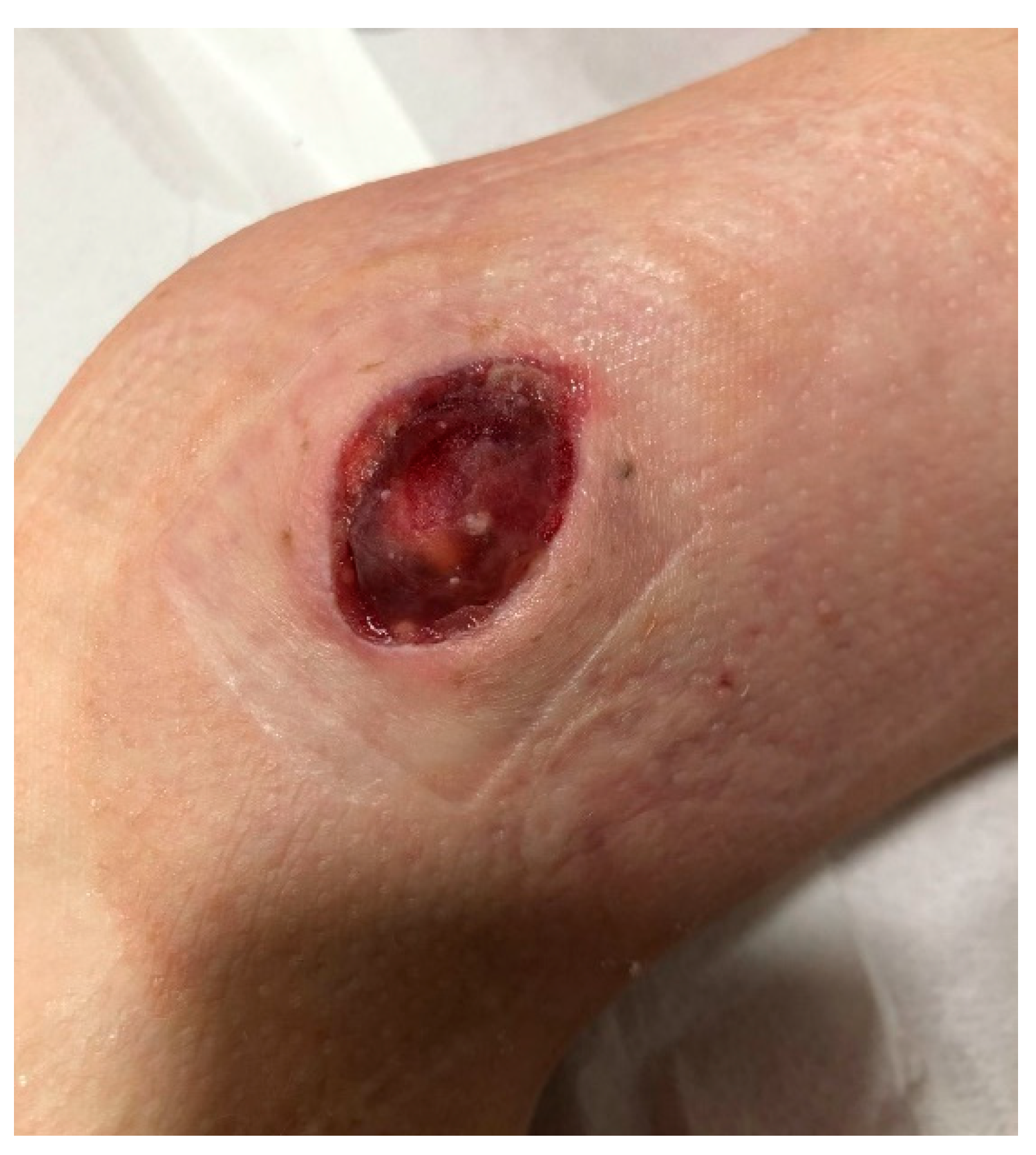 Preprints 121447 g010