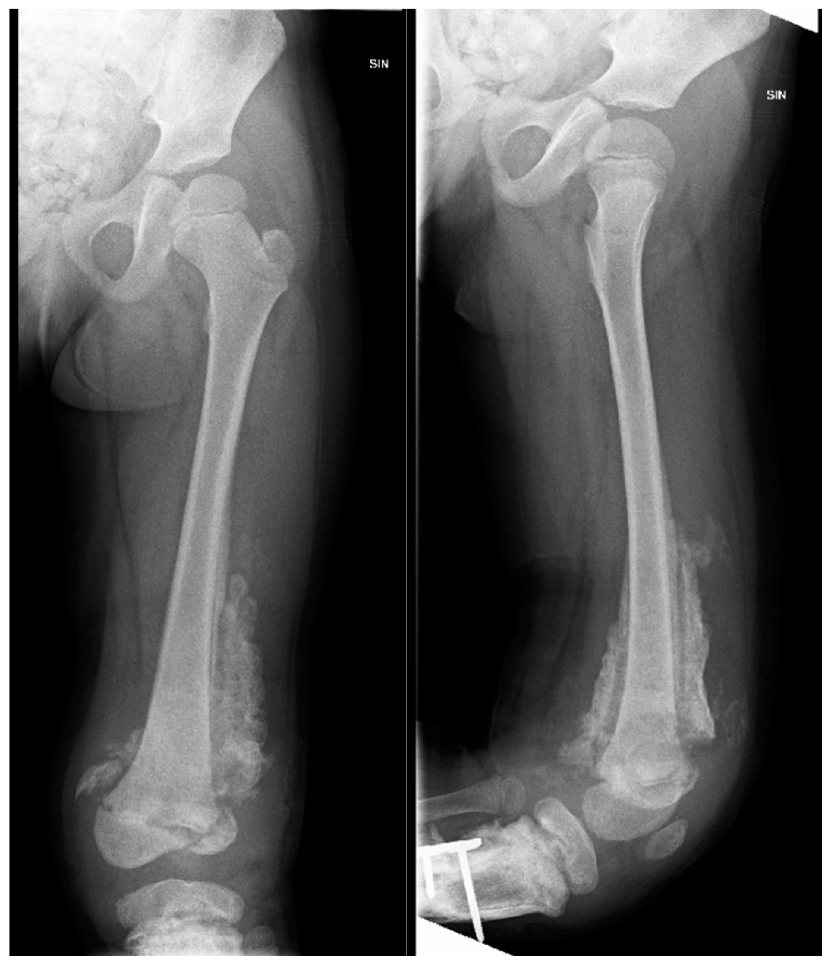 Preprints 121447 g011