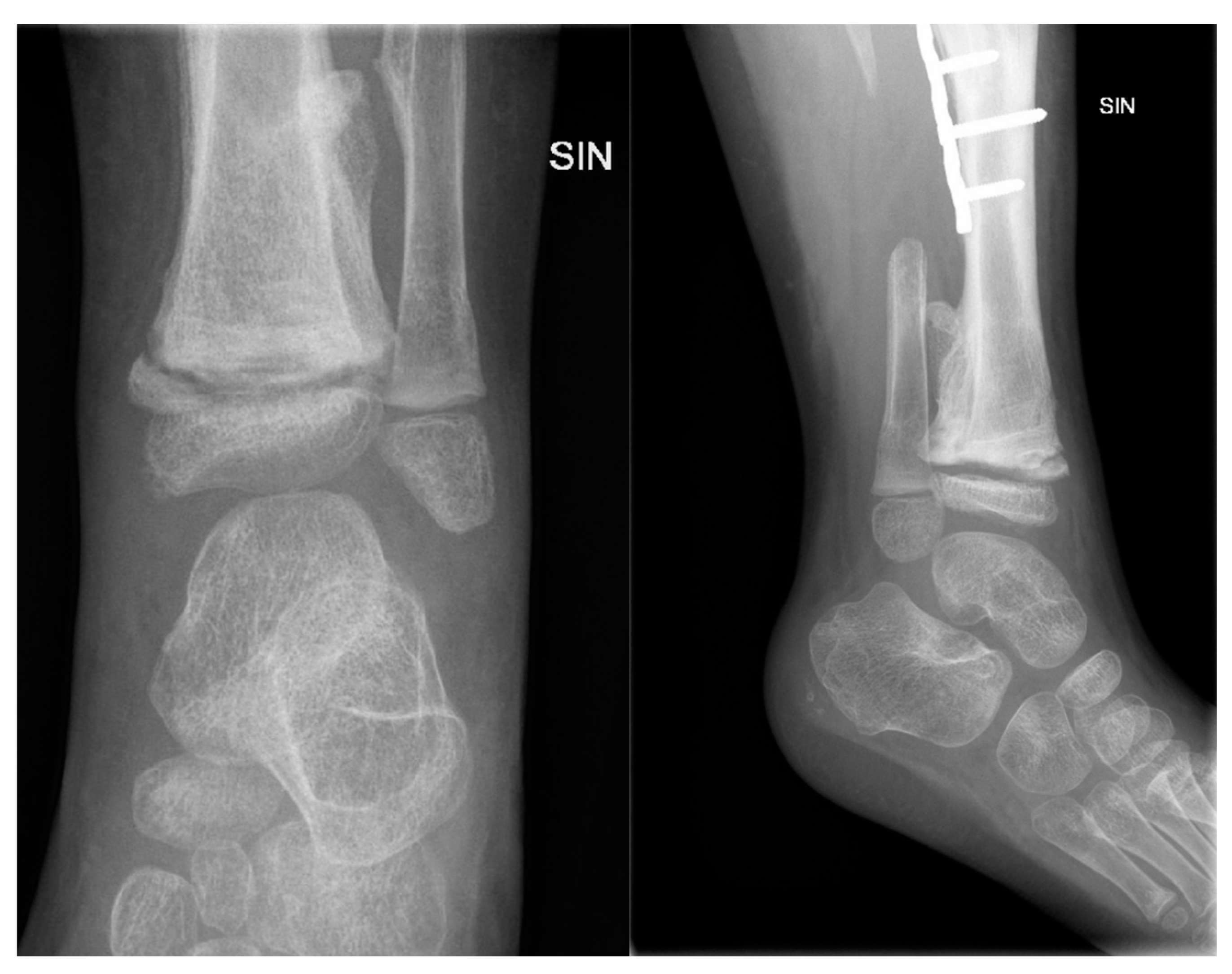 Preprints 121447 g012