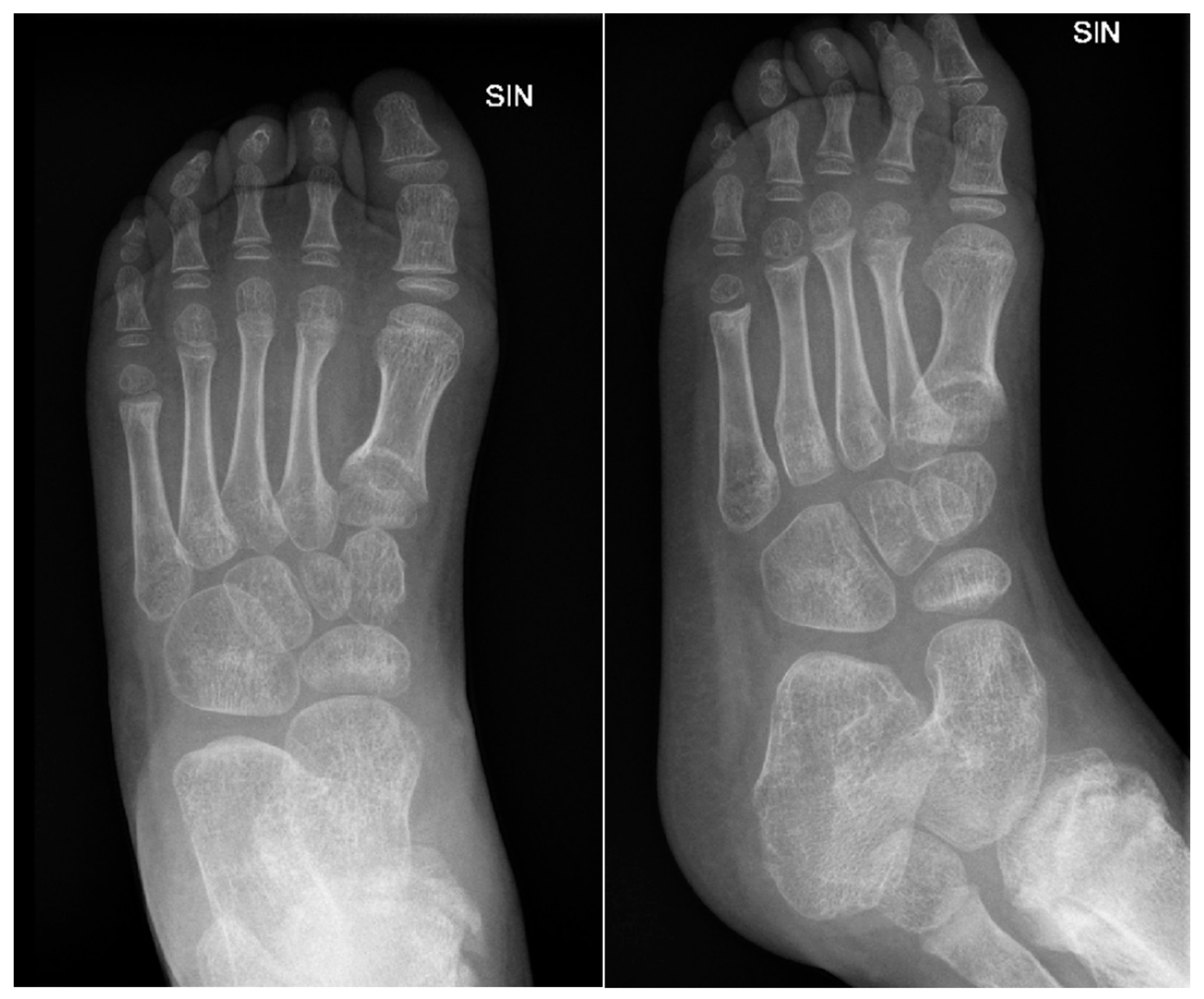 Preprints 121447 g013