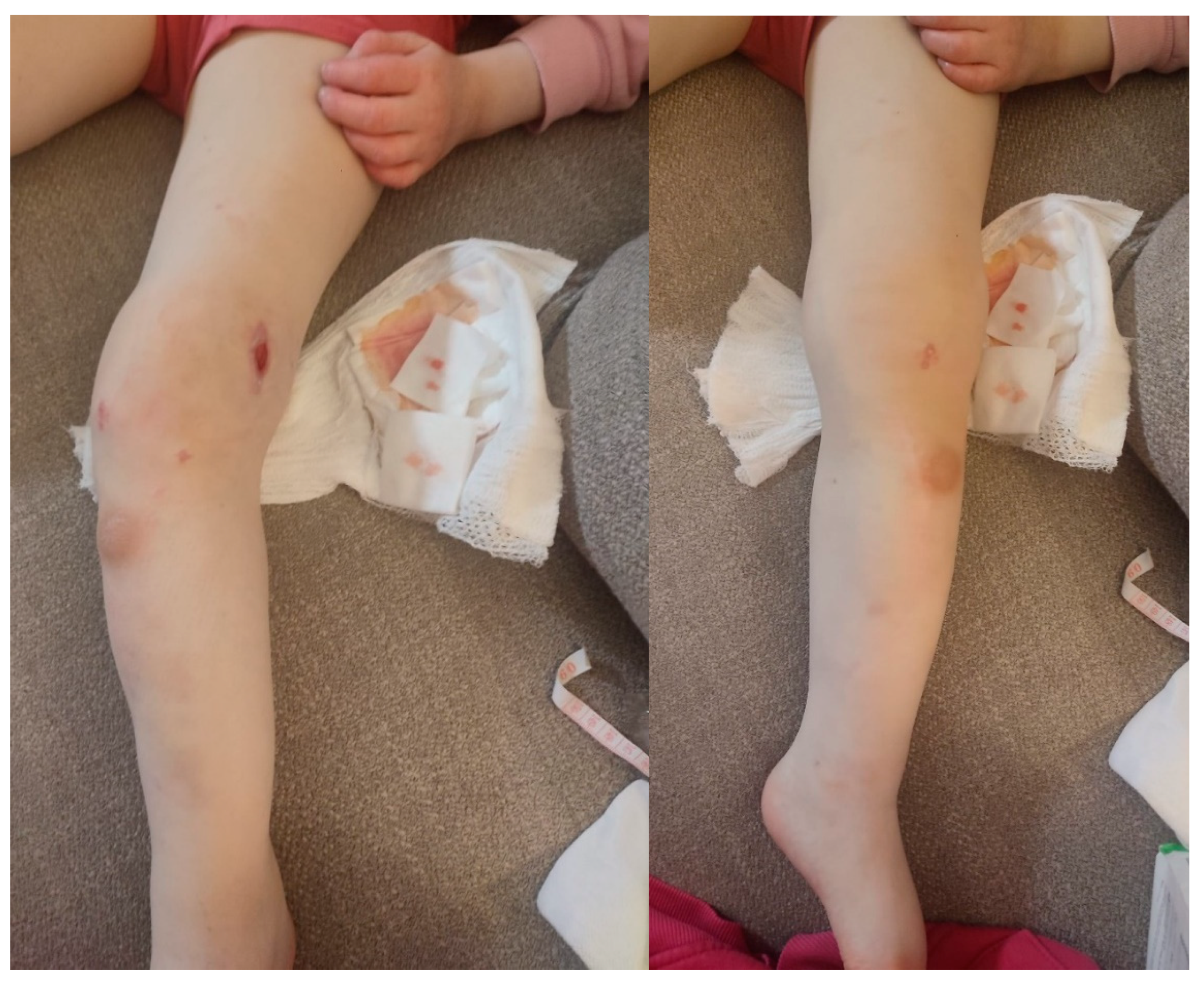 Preprints 121447 g014