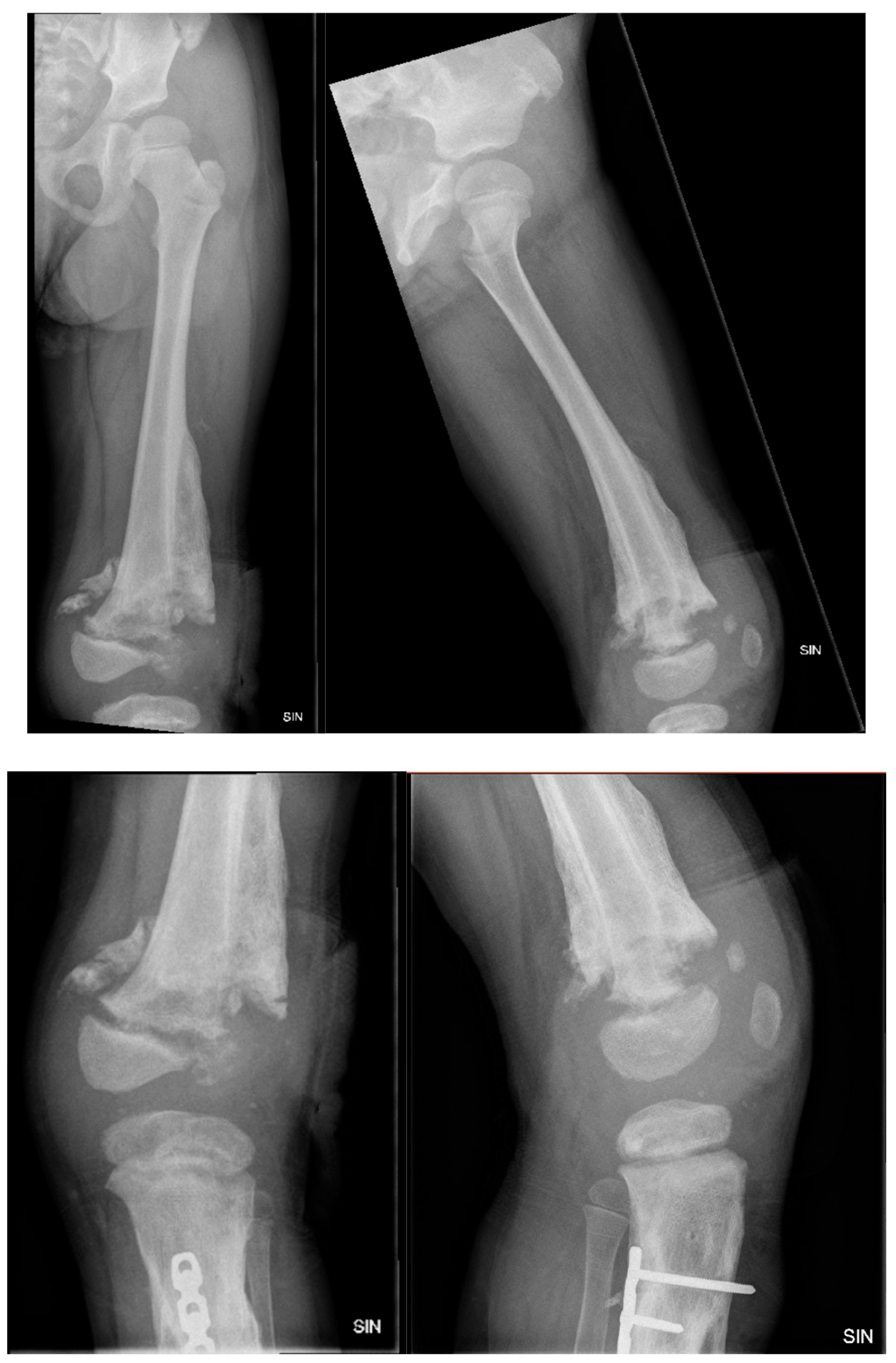 Preprints 121447 g015