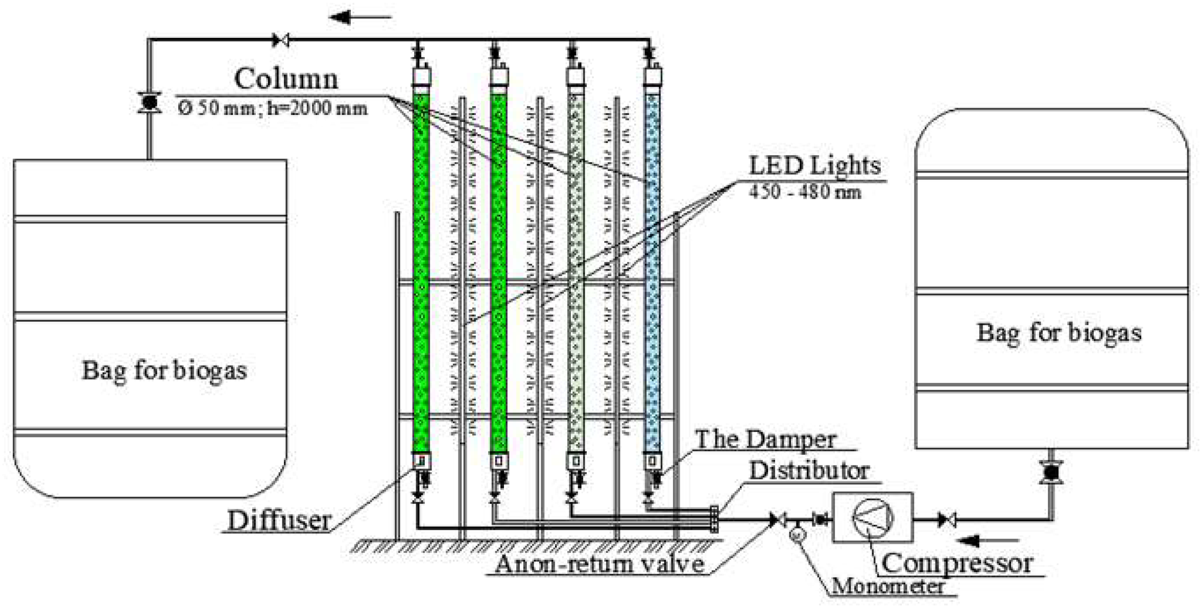Preprints 139464 g001