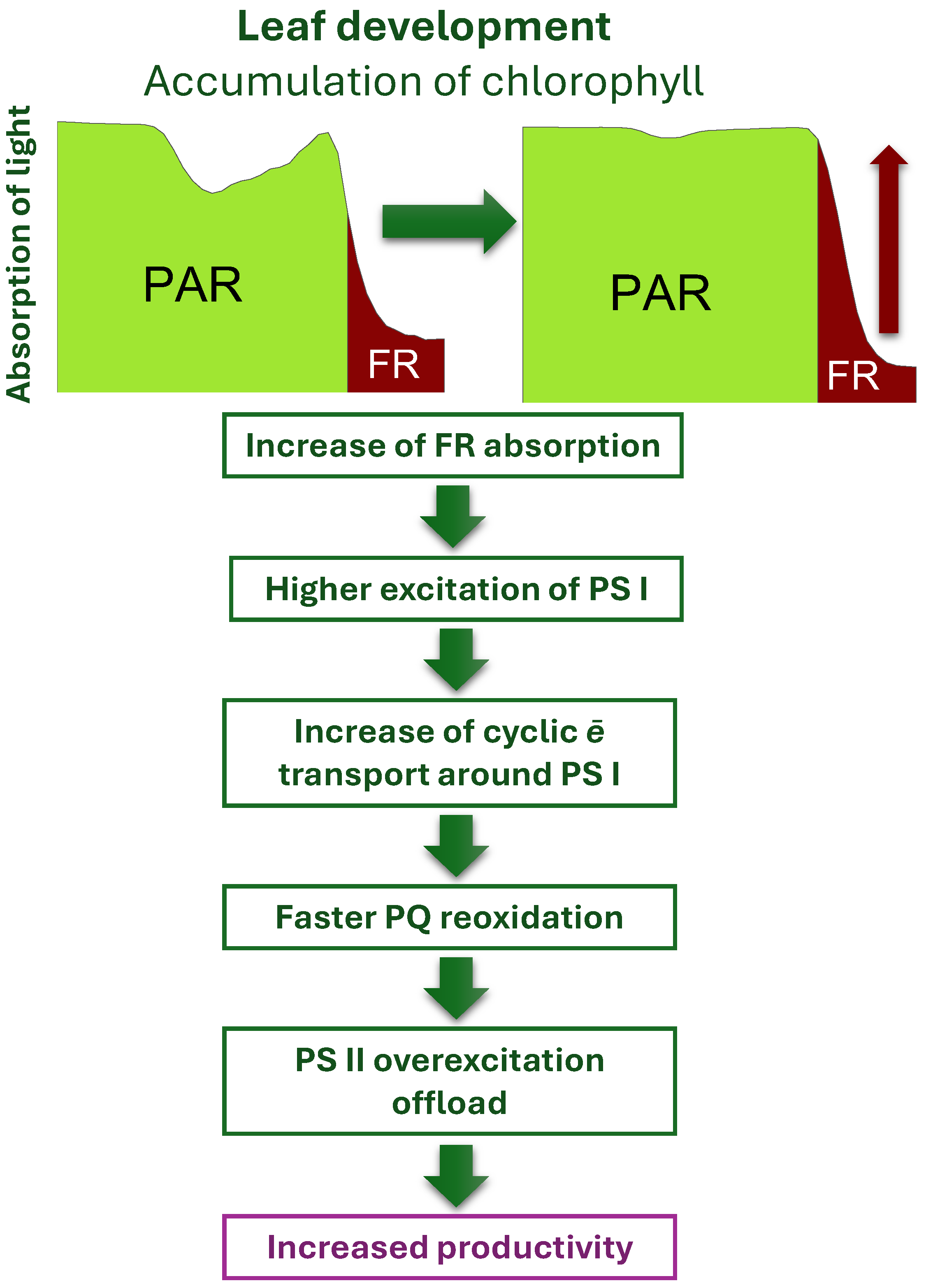 Preprints 182630 g002