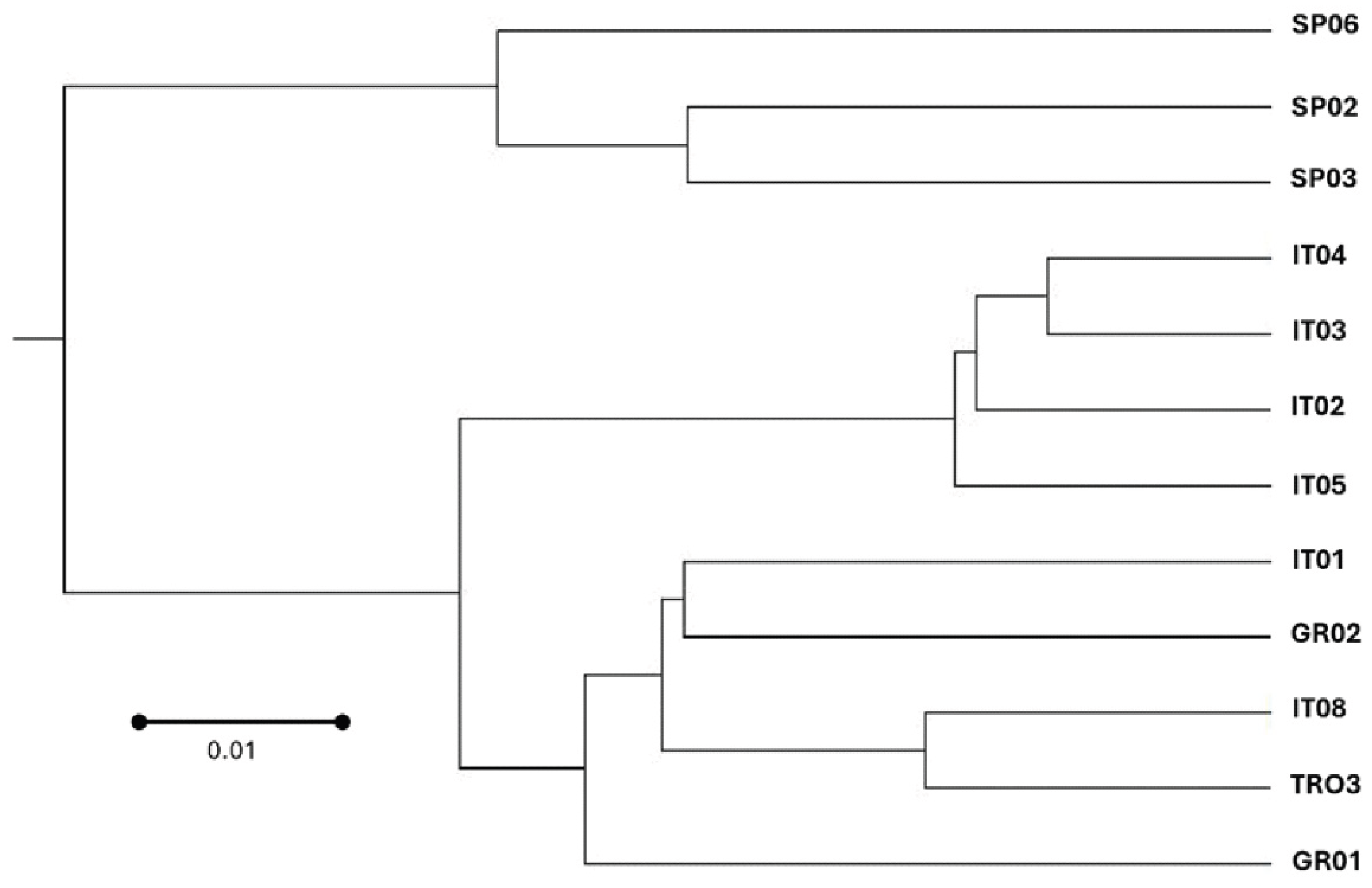 Preprints 205767 g003
