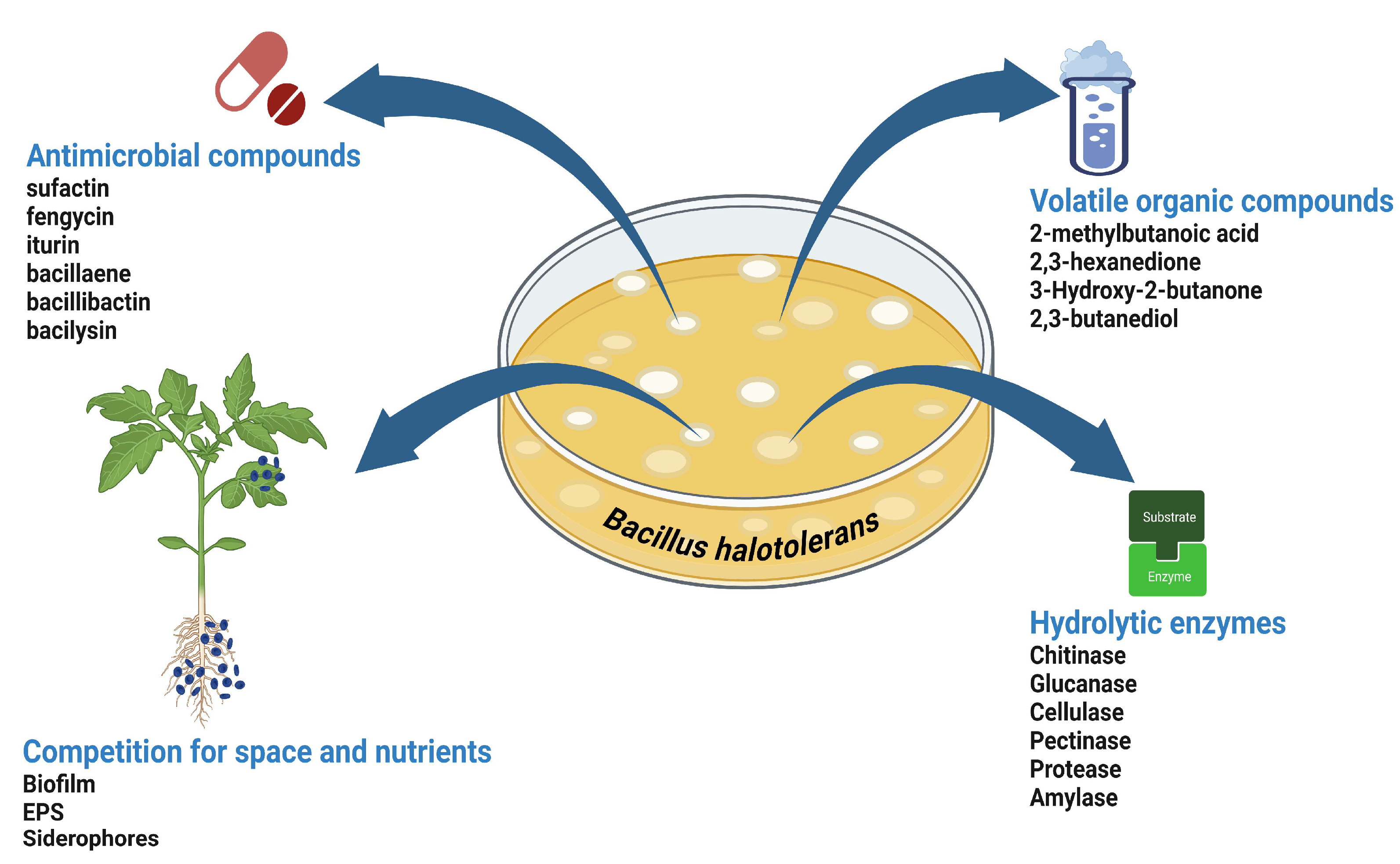 Preprints 147445 g002