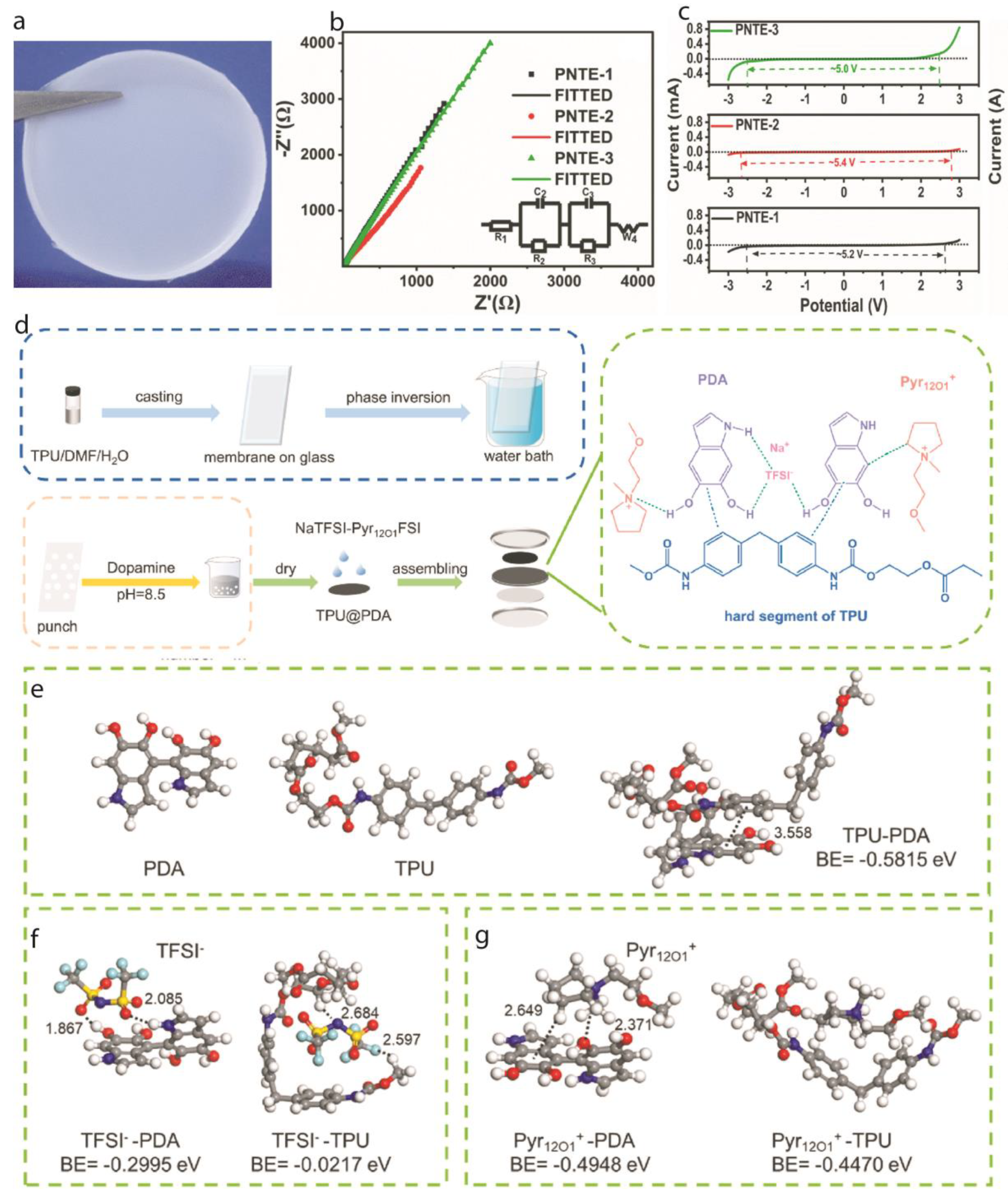 Preprints 145028 g002