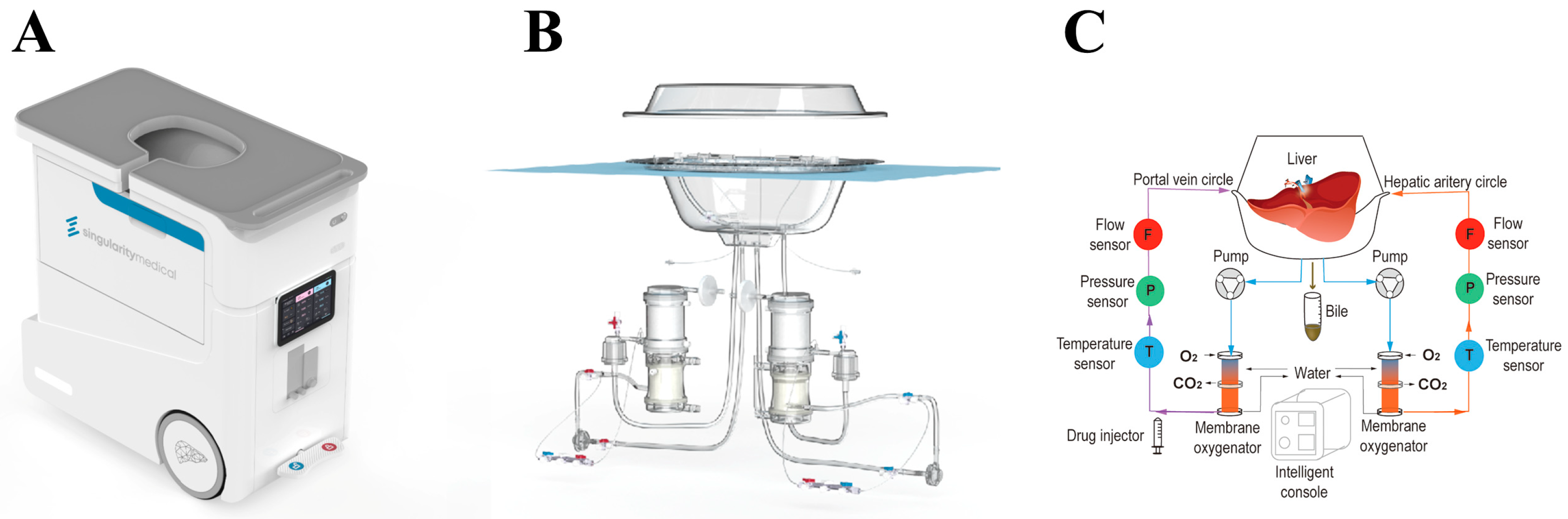 Preprints 82139 g001