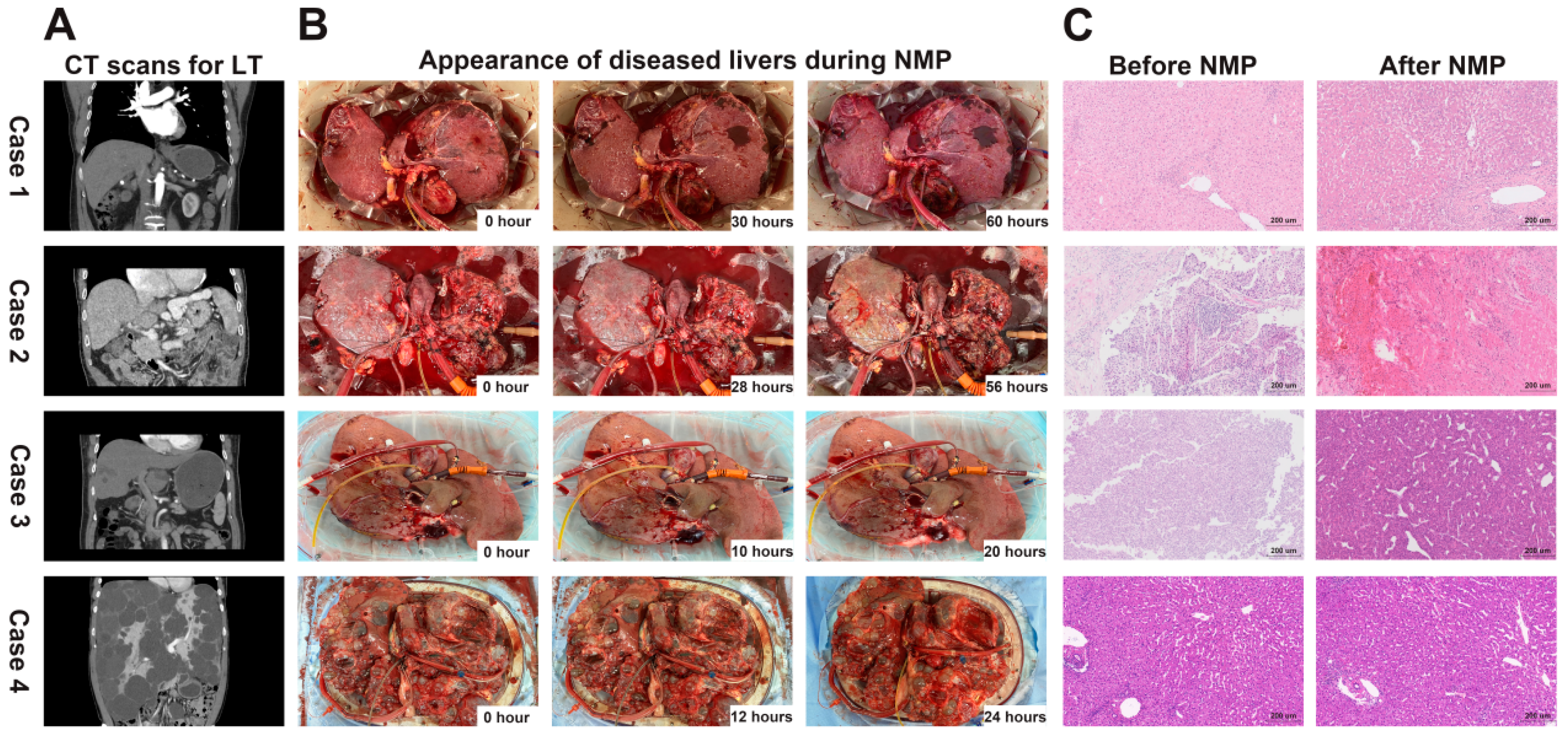 Preprints 82139 g002