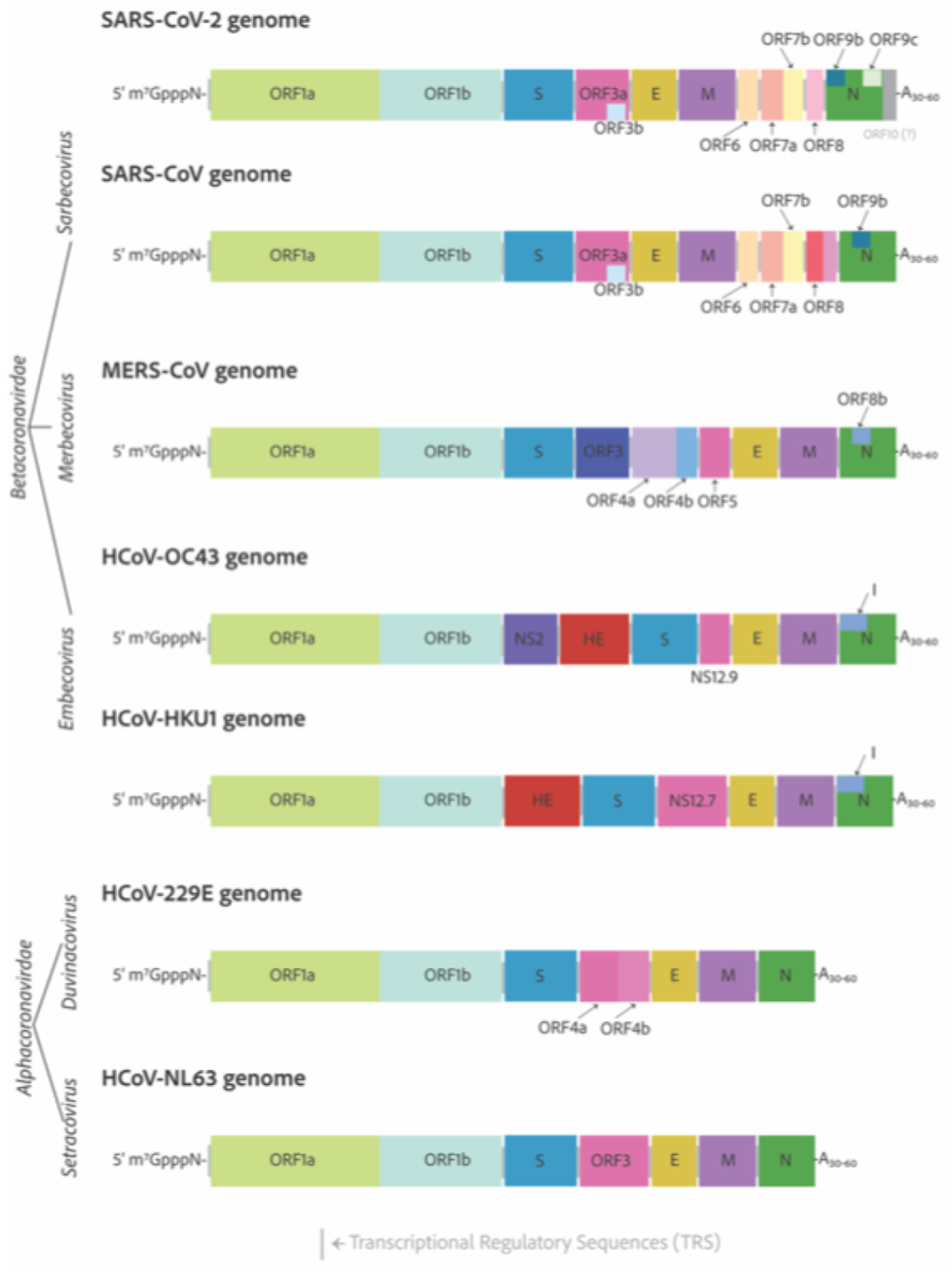 Preprints 142762 g002