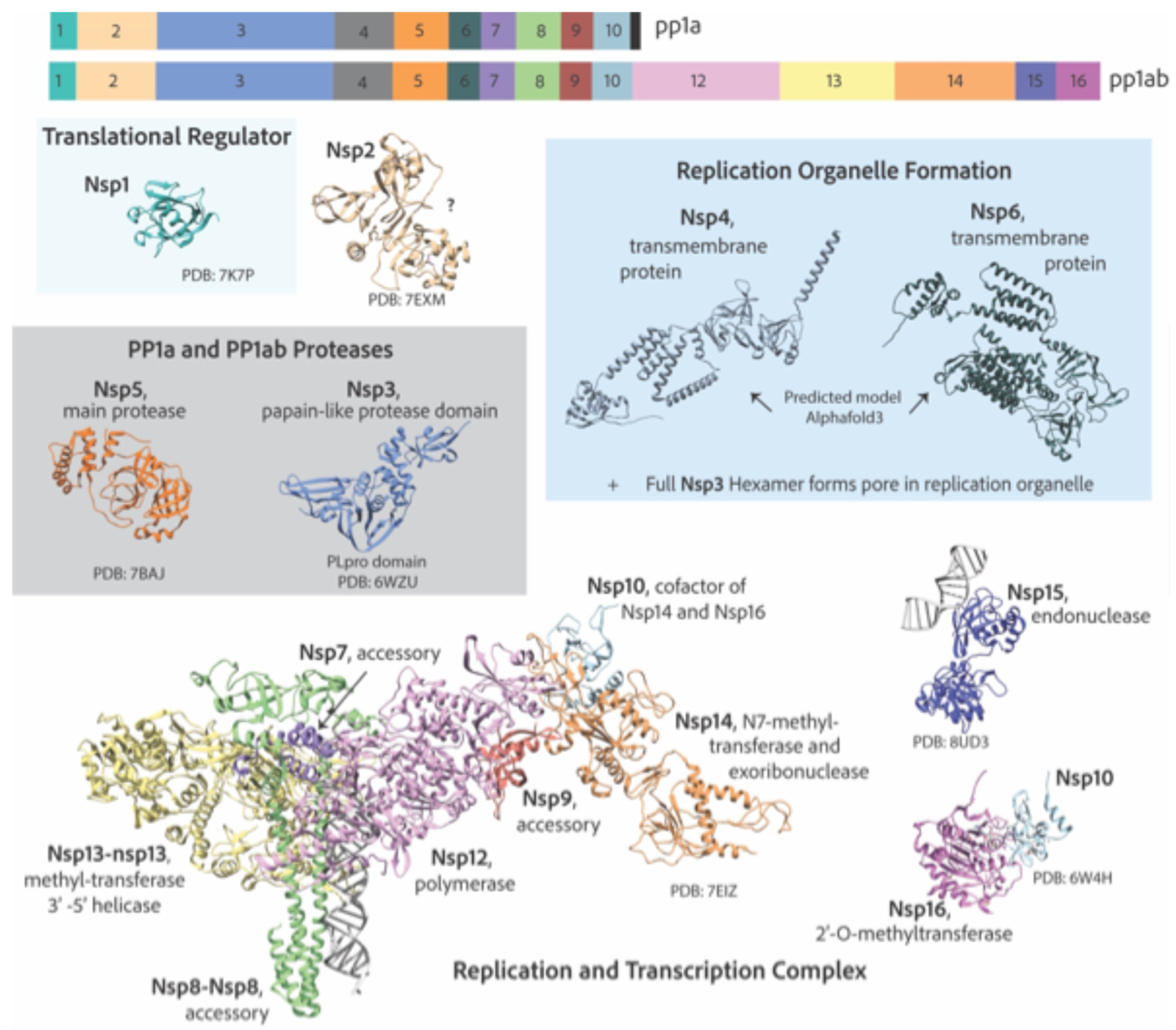 Preprints 142762 g004