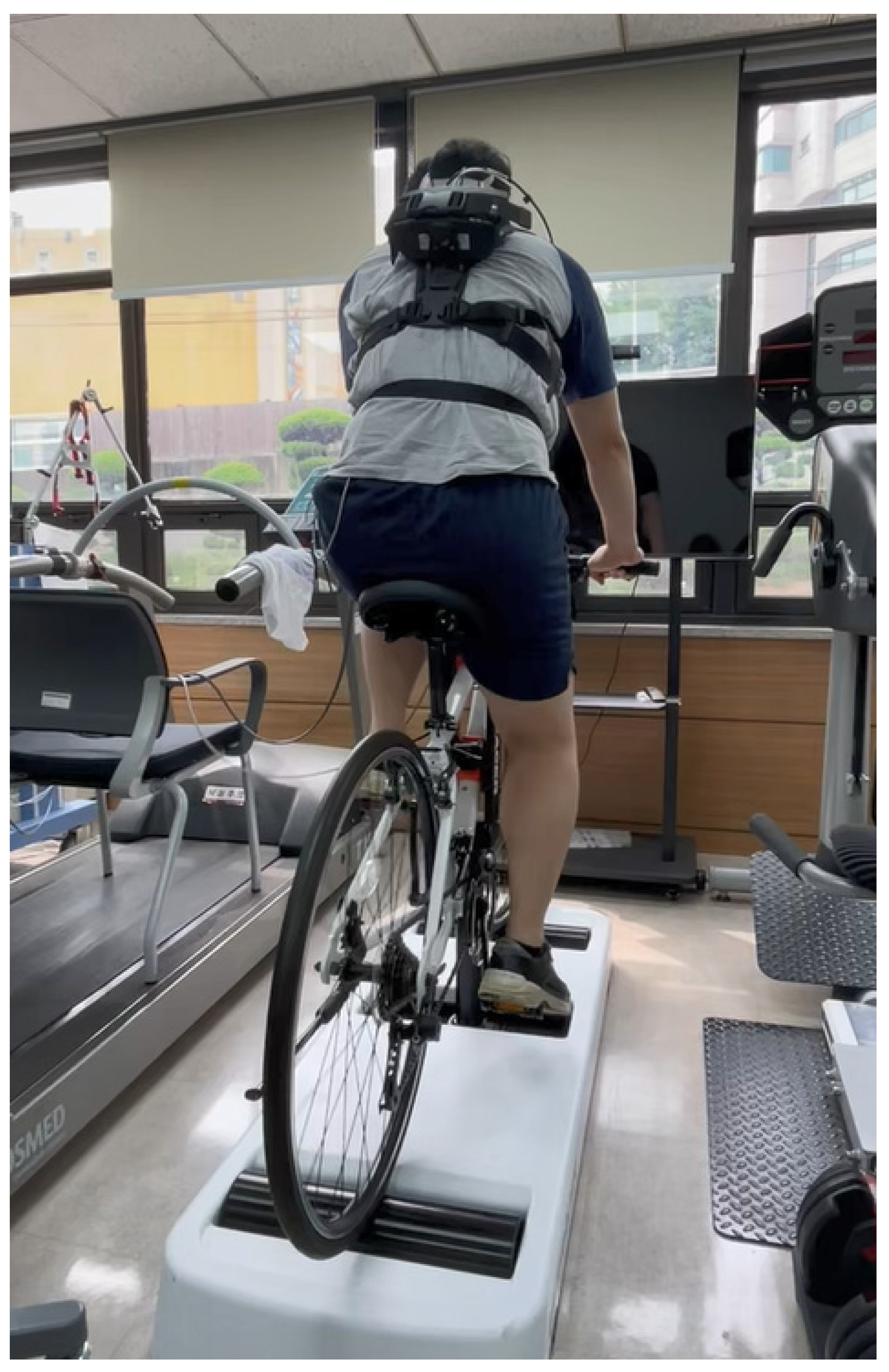 Preprints 185713 g002