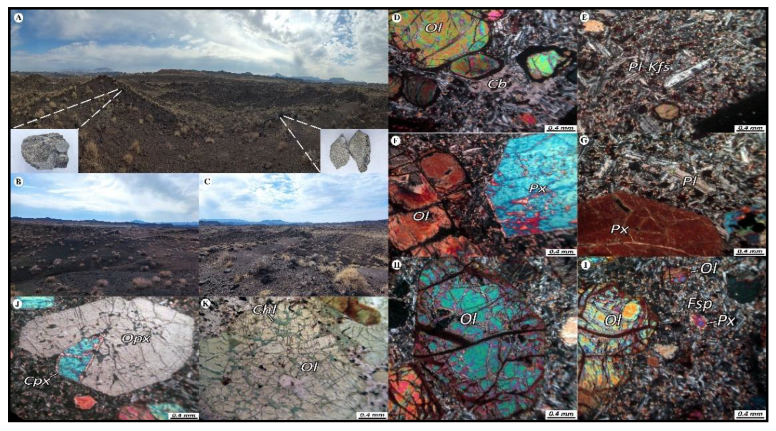 Preprints 177545 g005