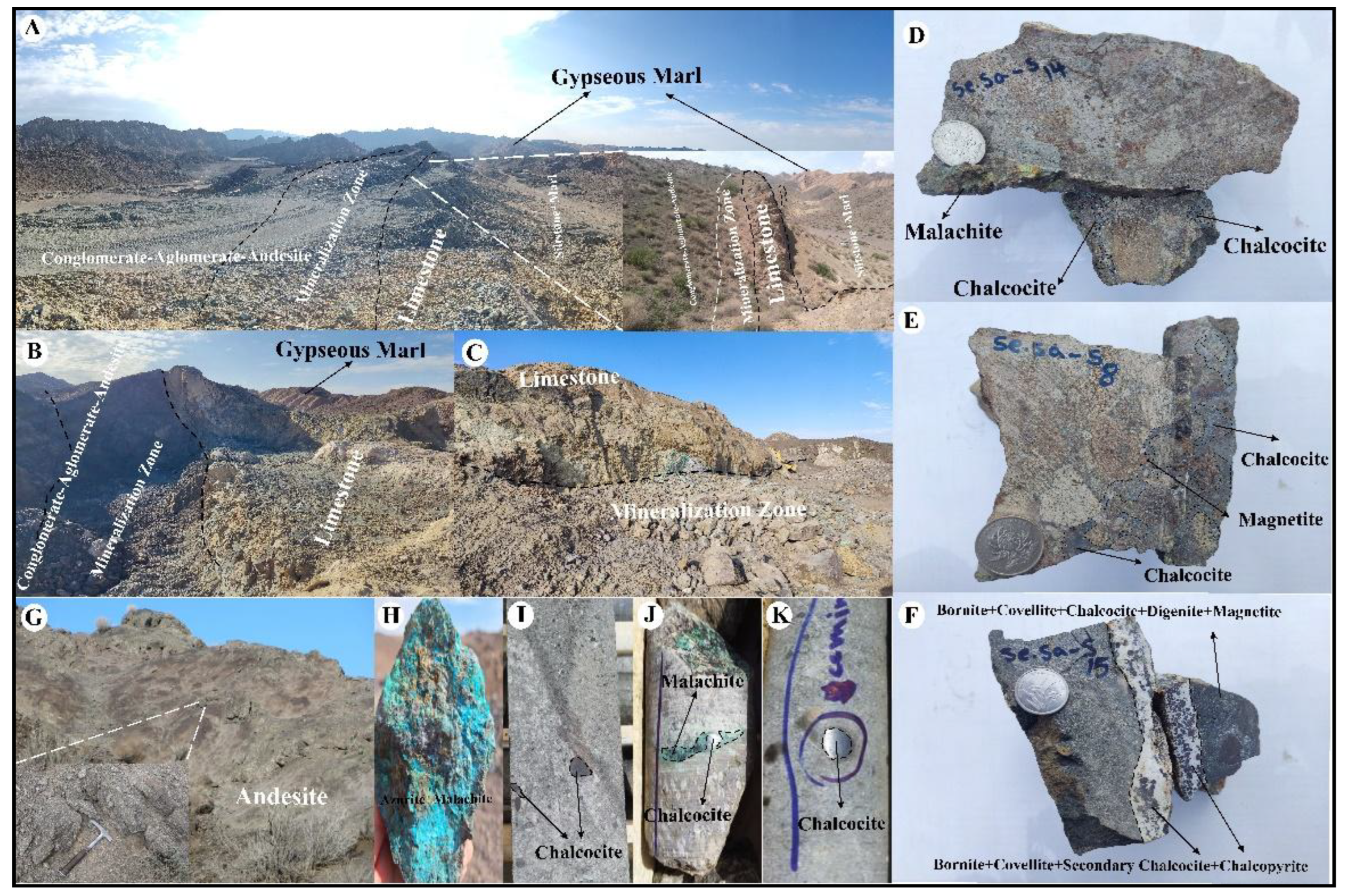 Preprints 177545 g007