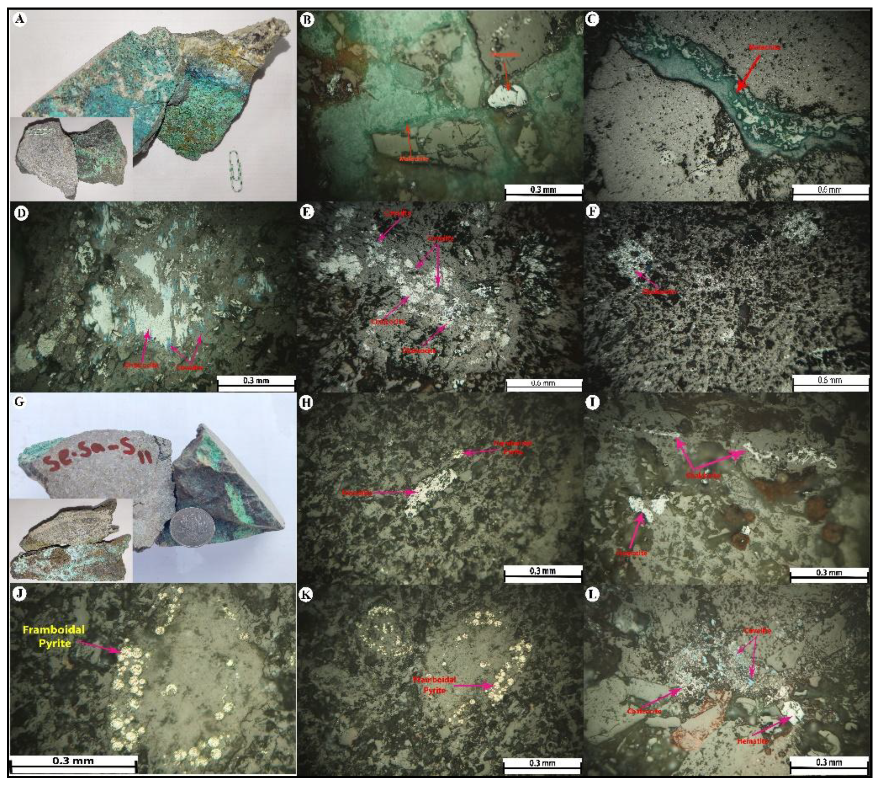 Preprints 177545 g008