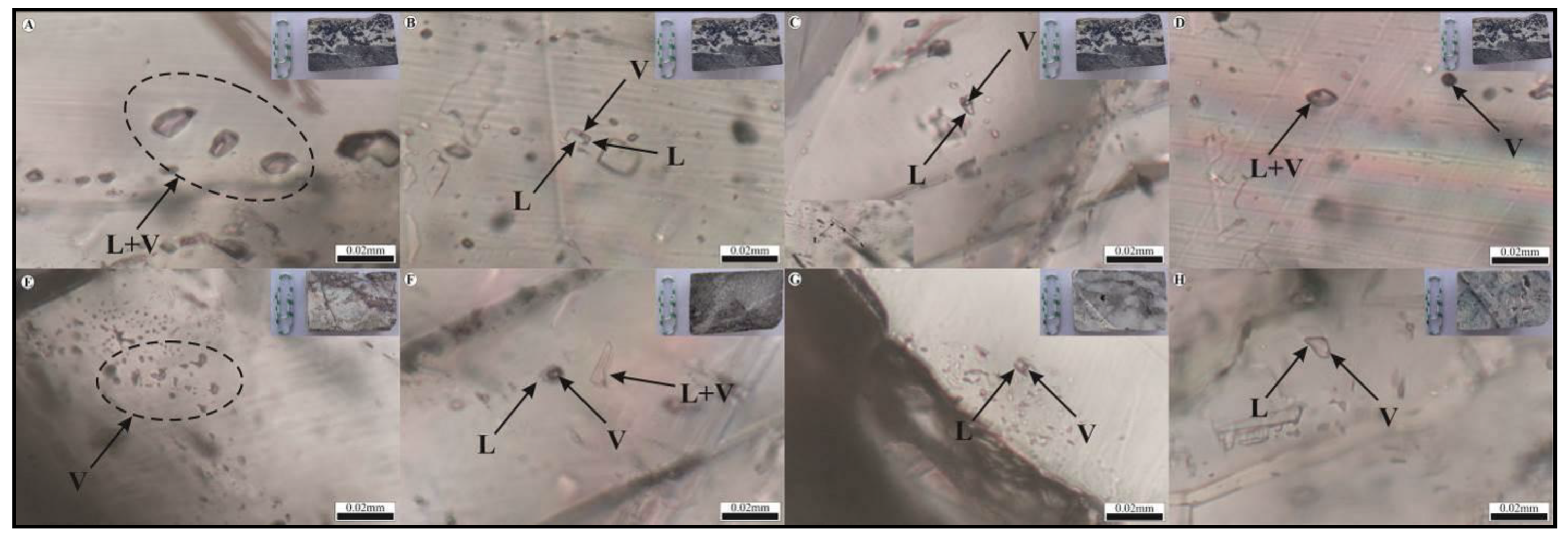 Preprints 177545 g012