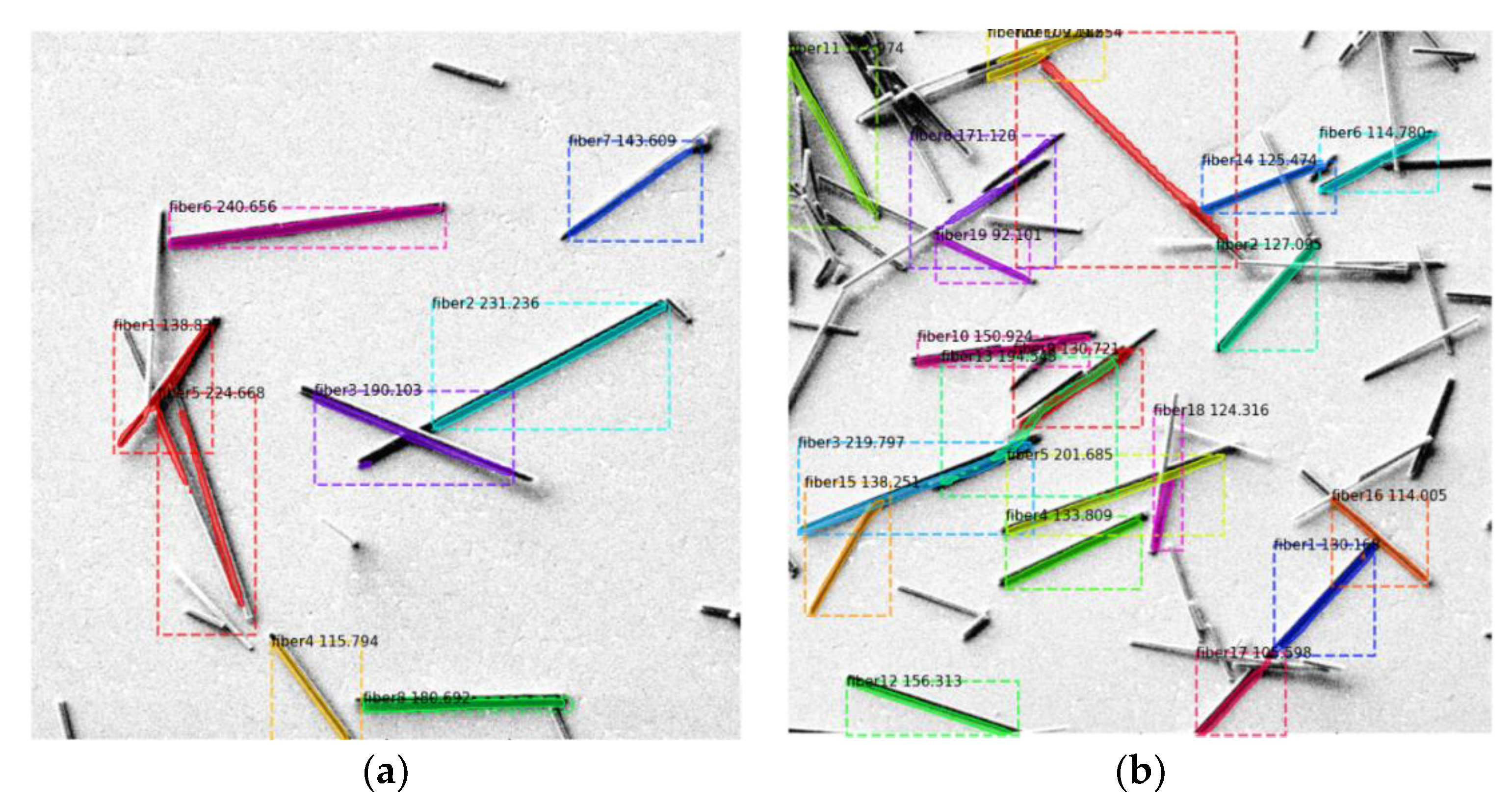 Preprints 120009 g002