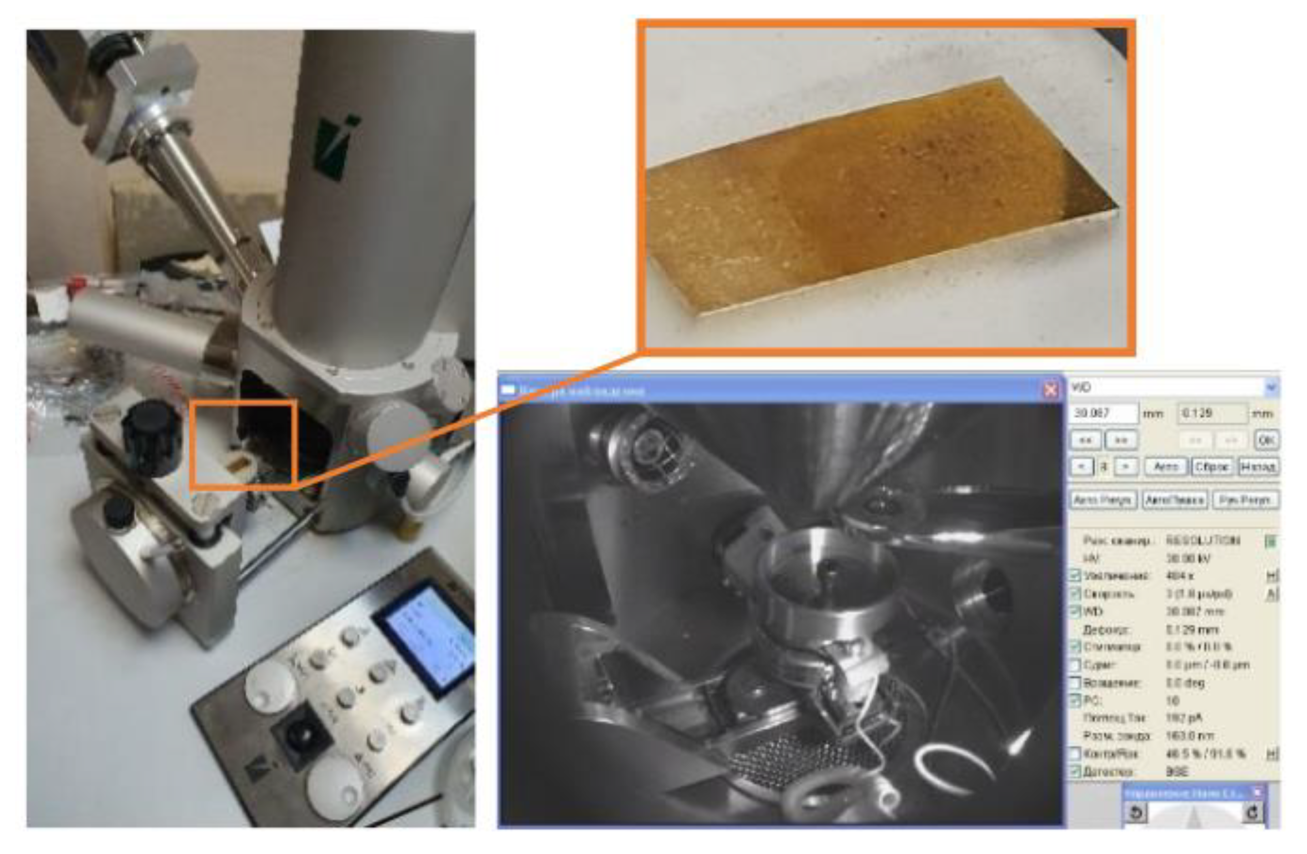 Preprints 120009 g005