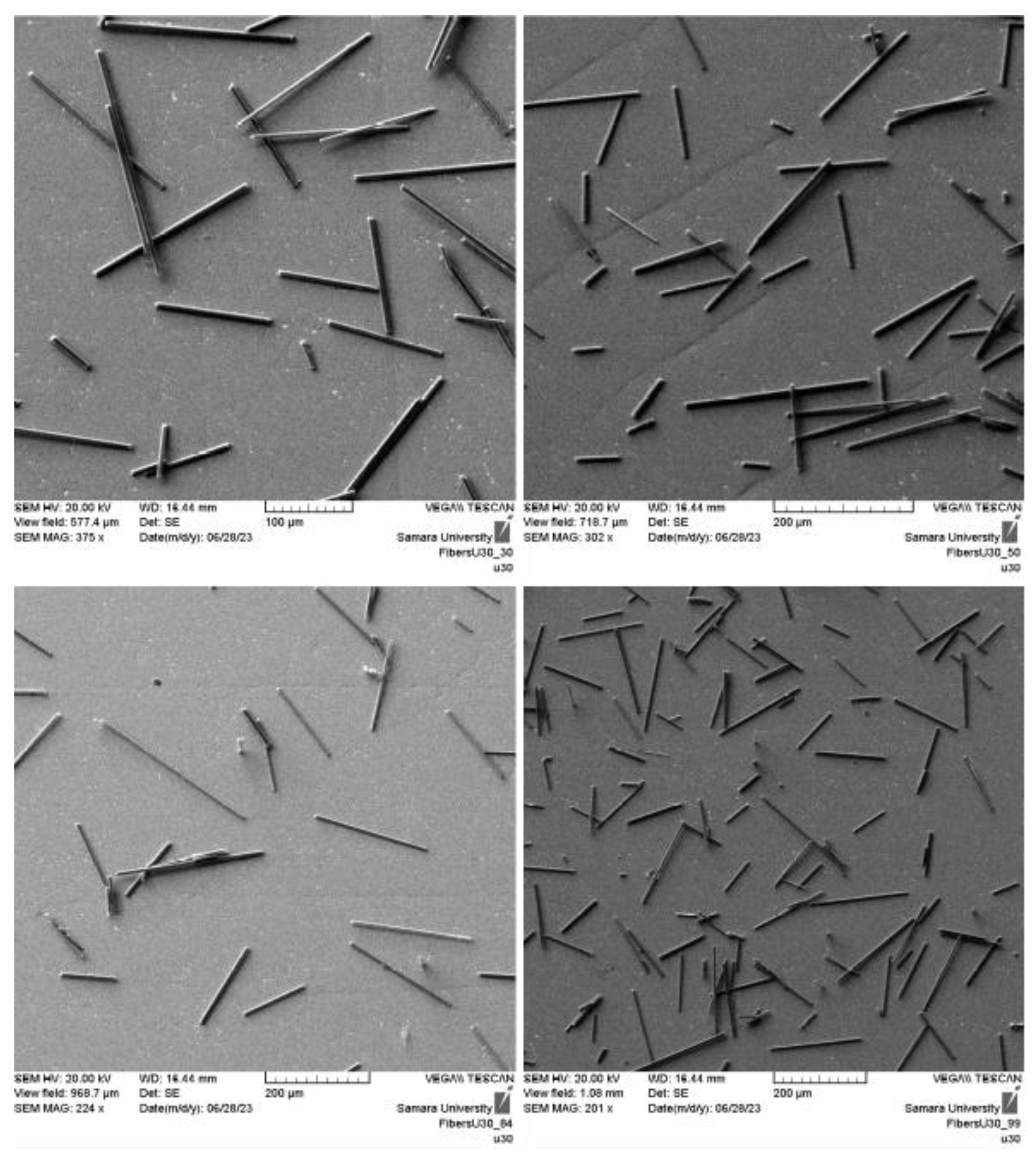 Preprints 120009 g006