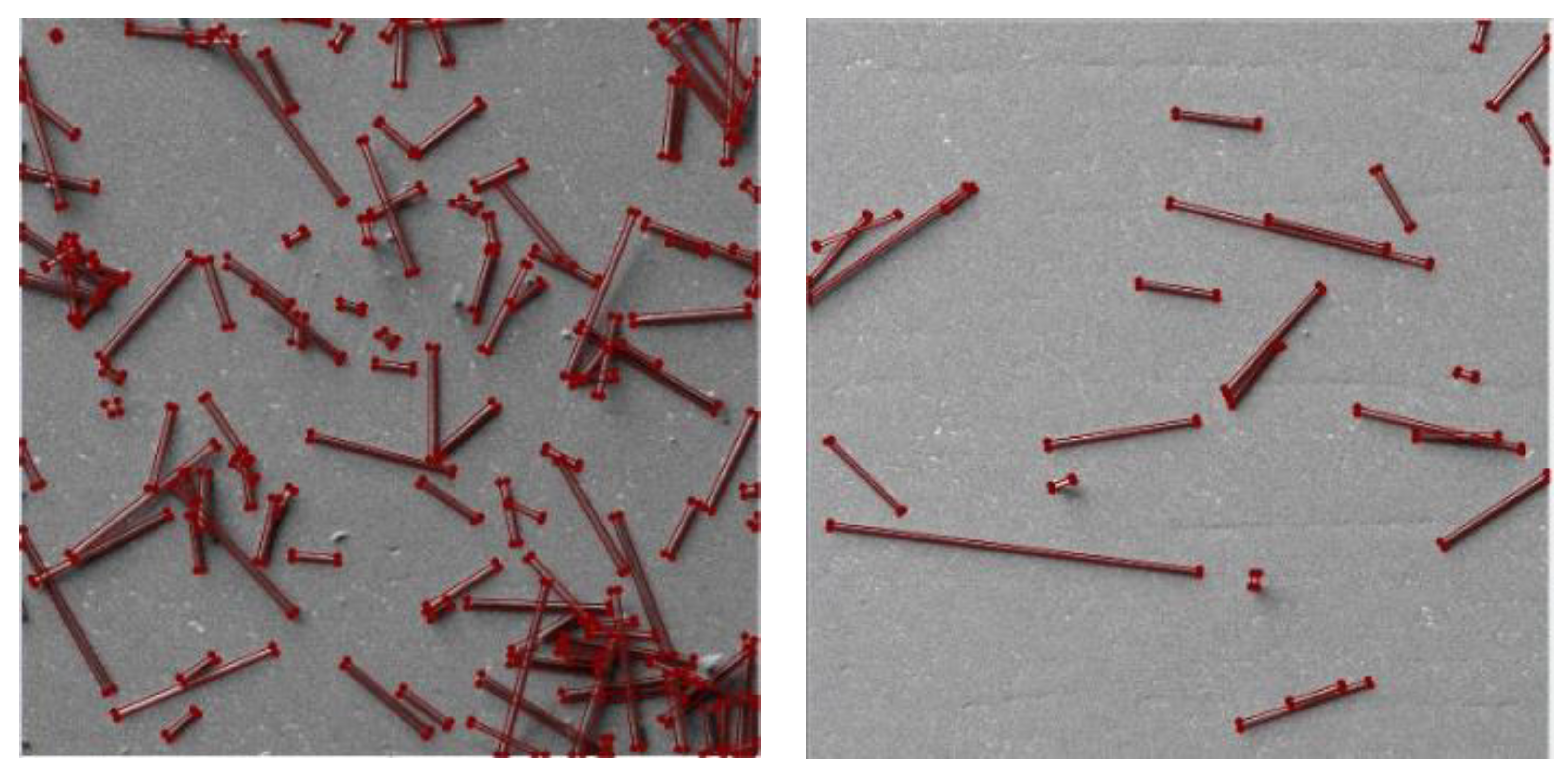 Preprints 120009 g007