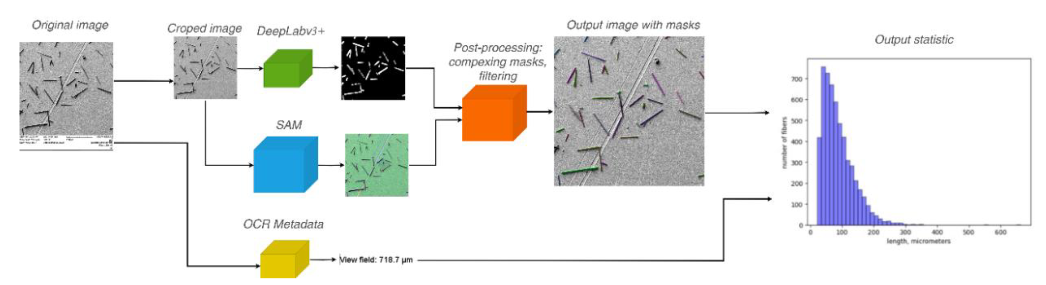 Preprints 120009 g009