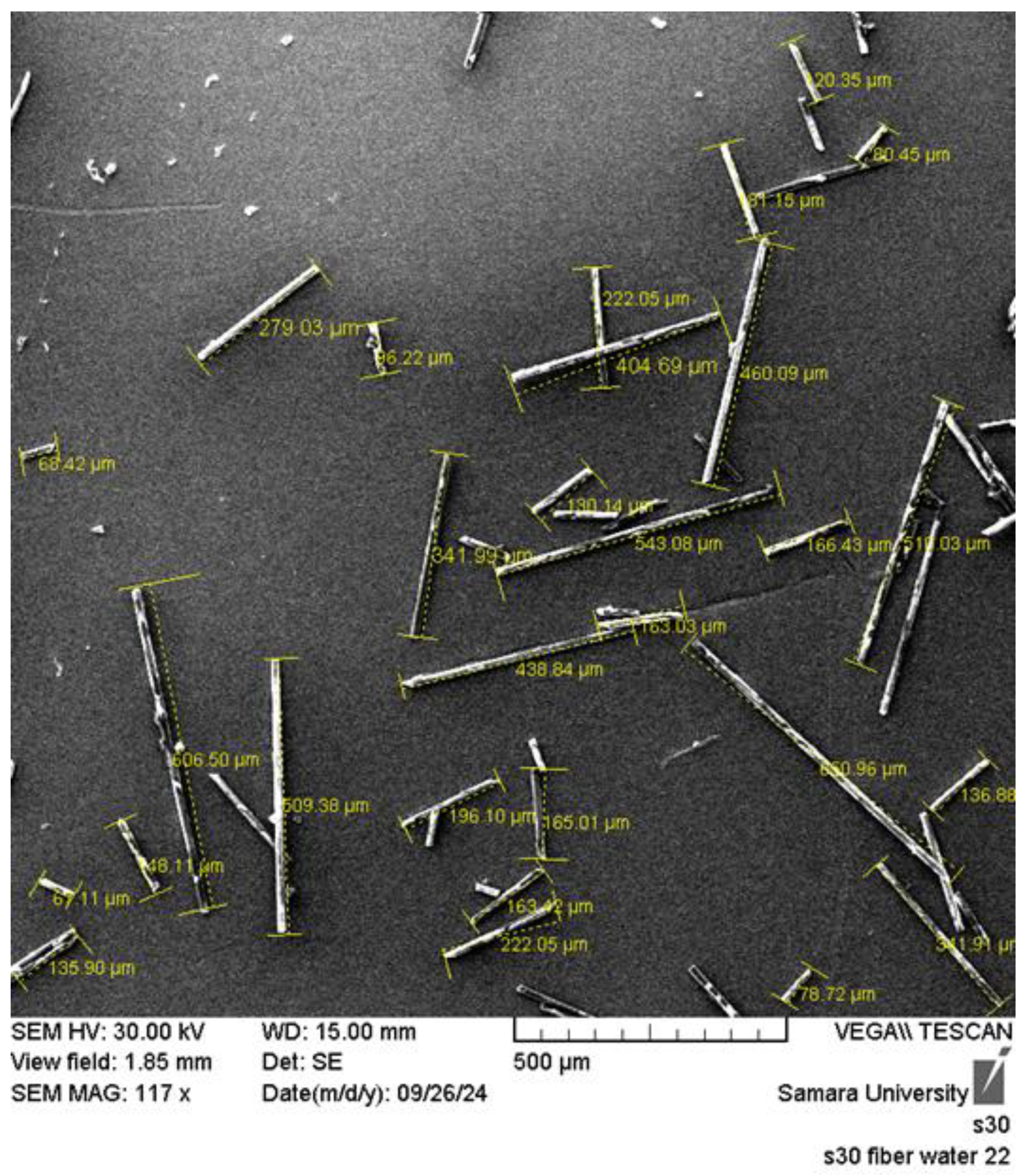 Preprints 120009 g019