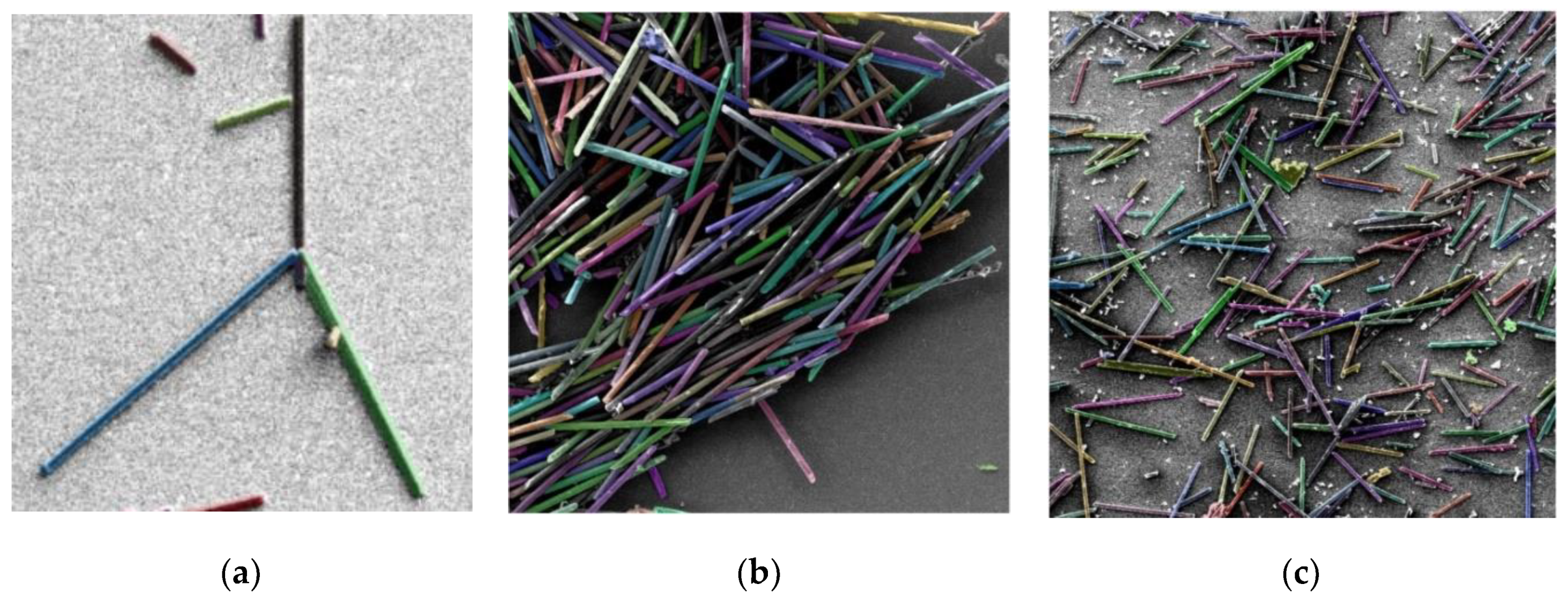 Preprints 120009 g020