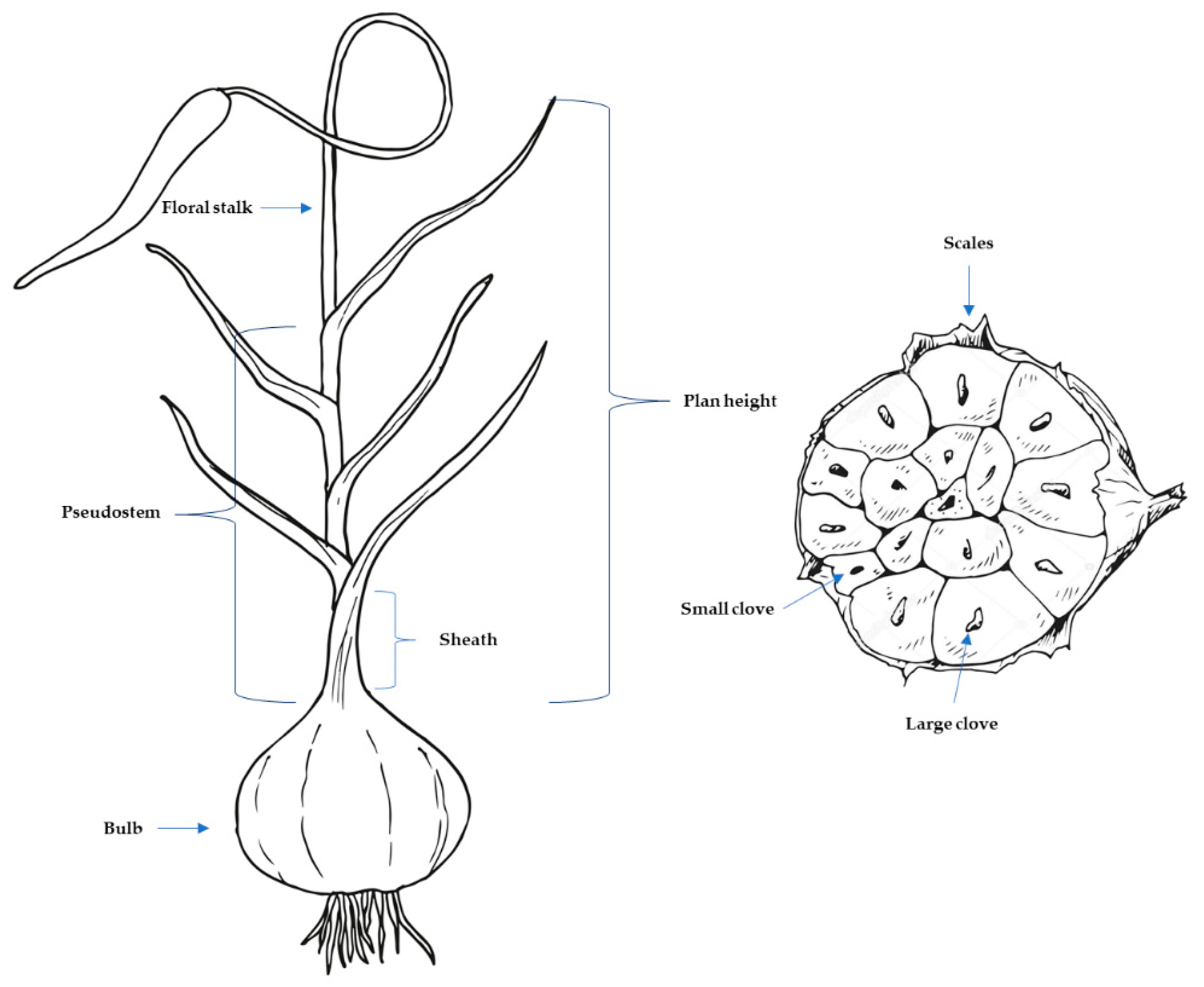 Preprints 108990 g001