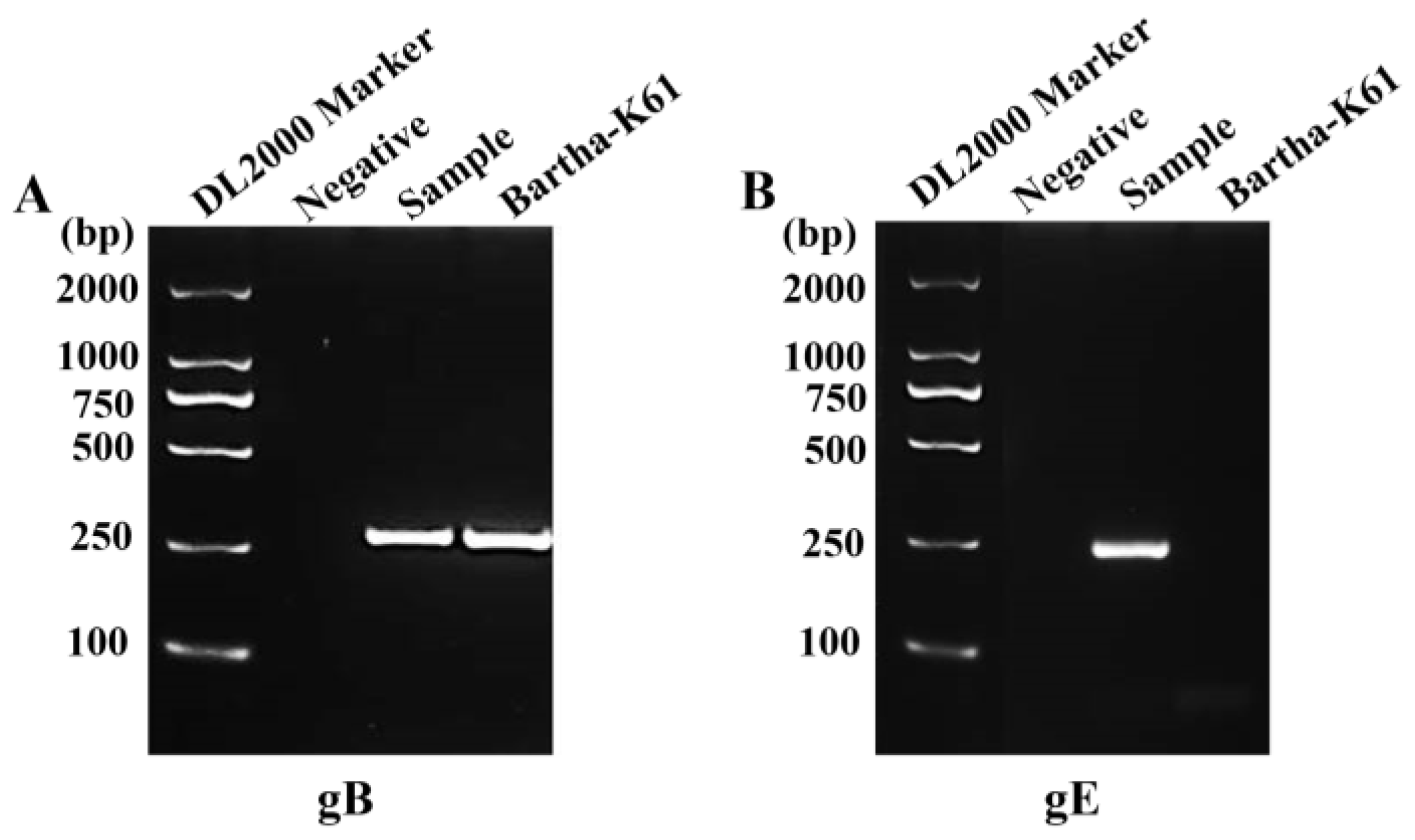 Preprints 152425 g001